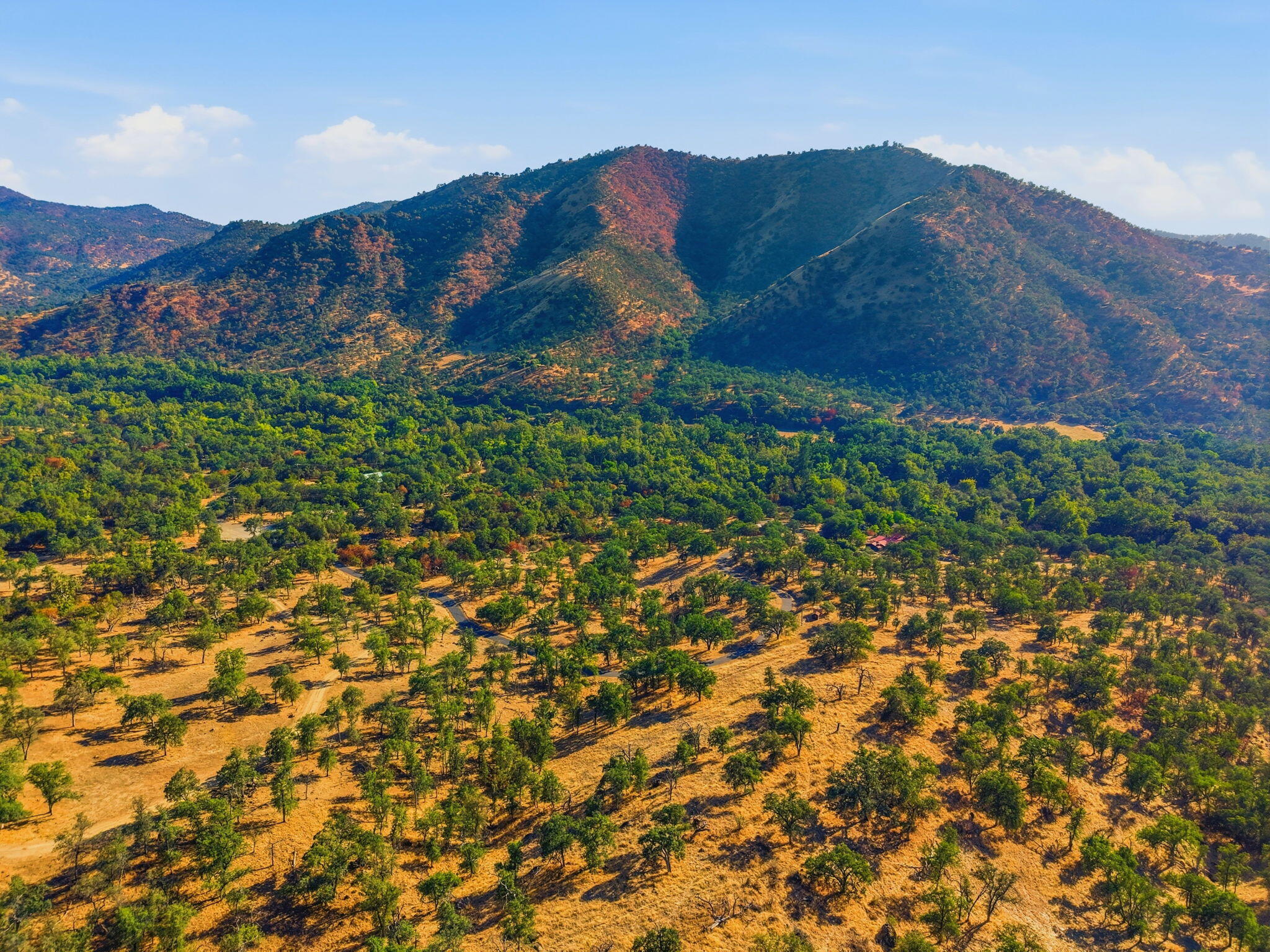 0 Redbud Trl, Three Rivers, CA 93271