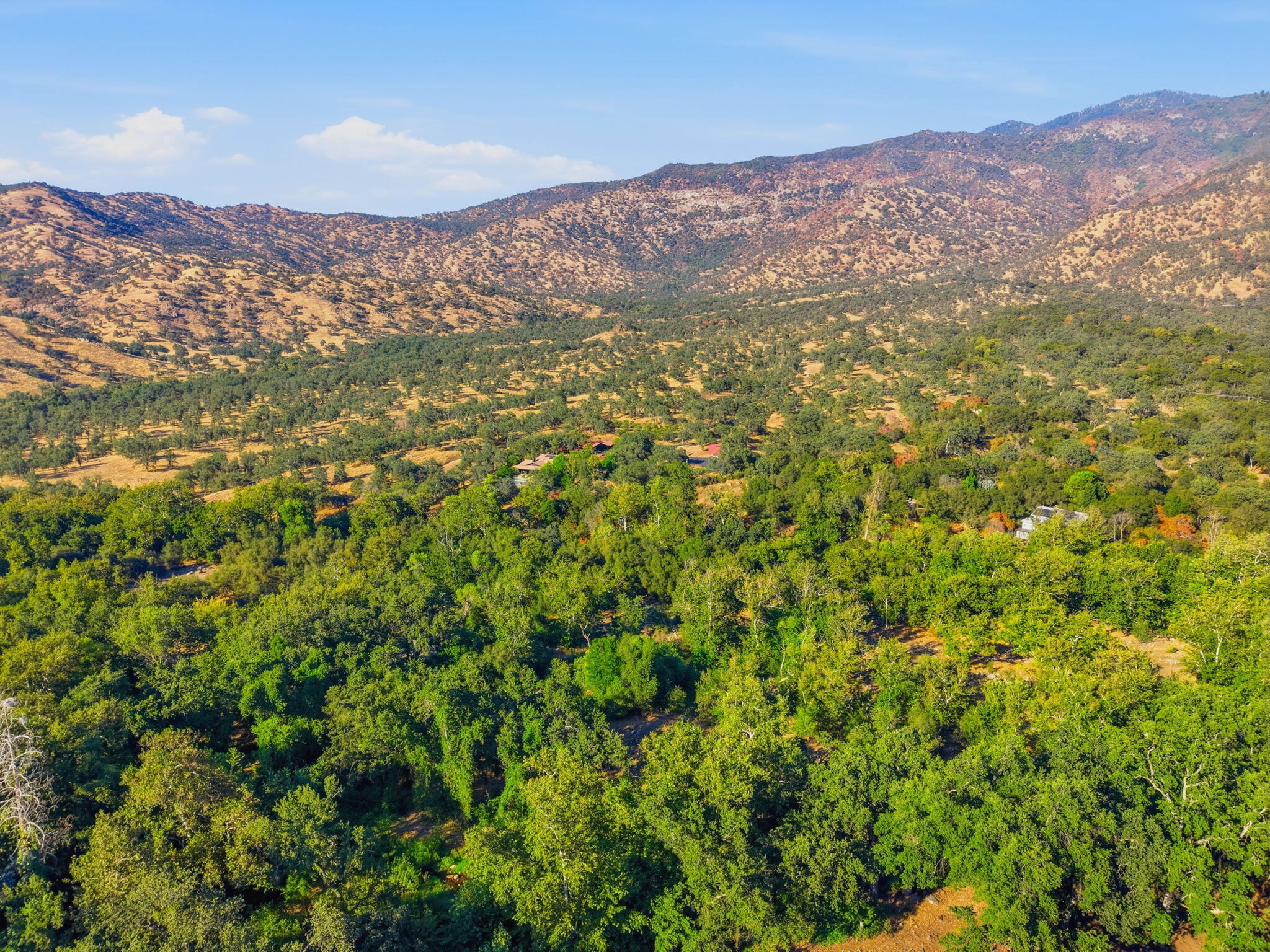 0 Redbud Trl, Three Rivers, CA 93271