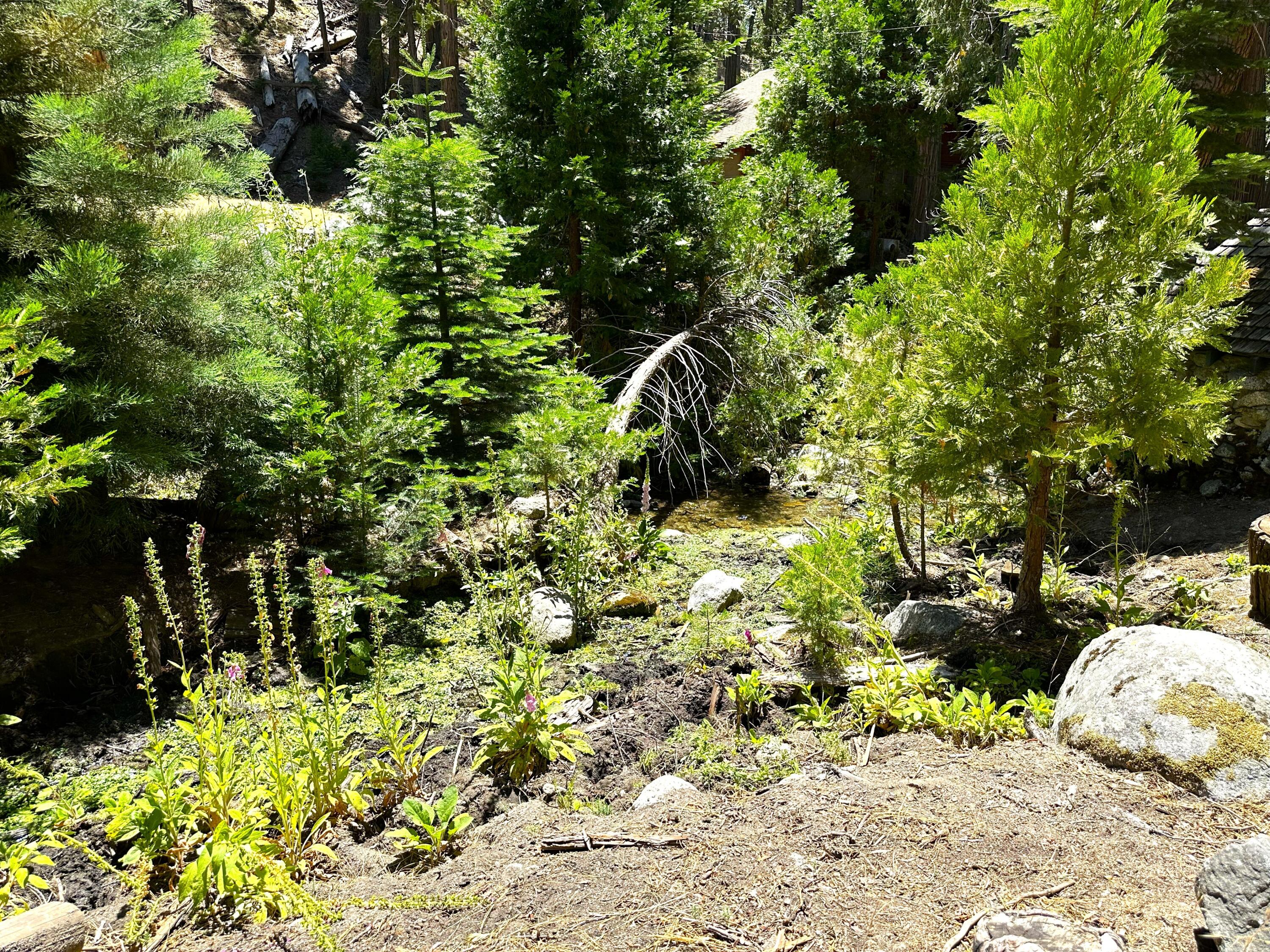 18 White River Road, California Hot Springs, CA 93207