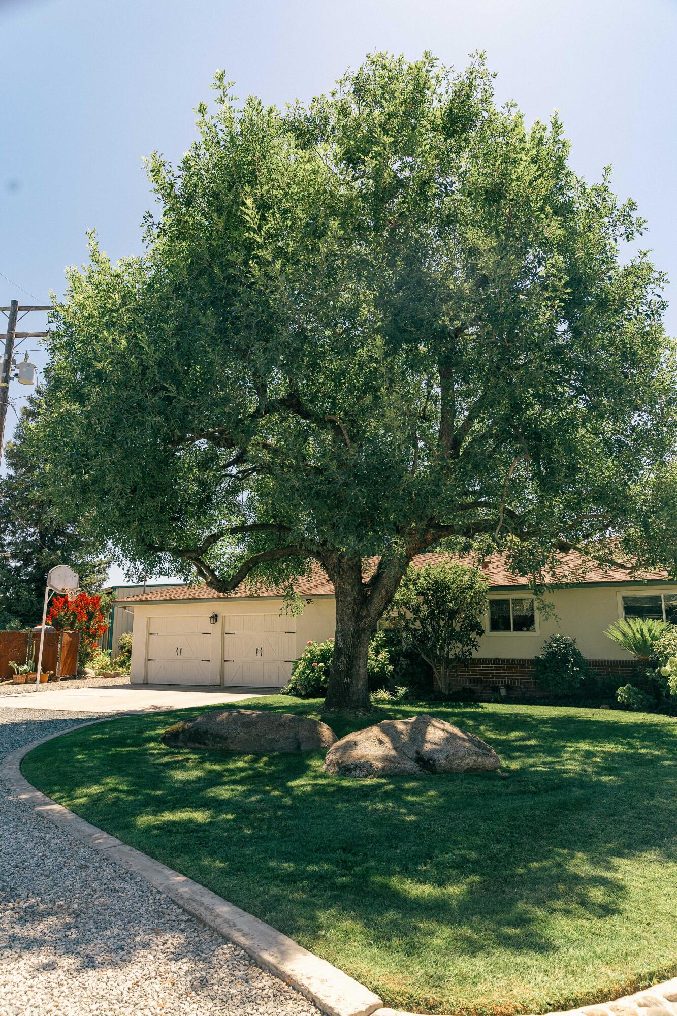 23894 Rd 126, Tulare, CA 93274