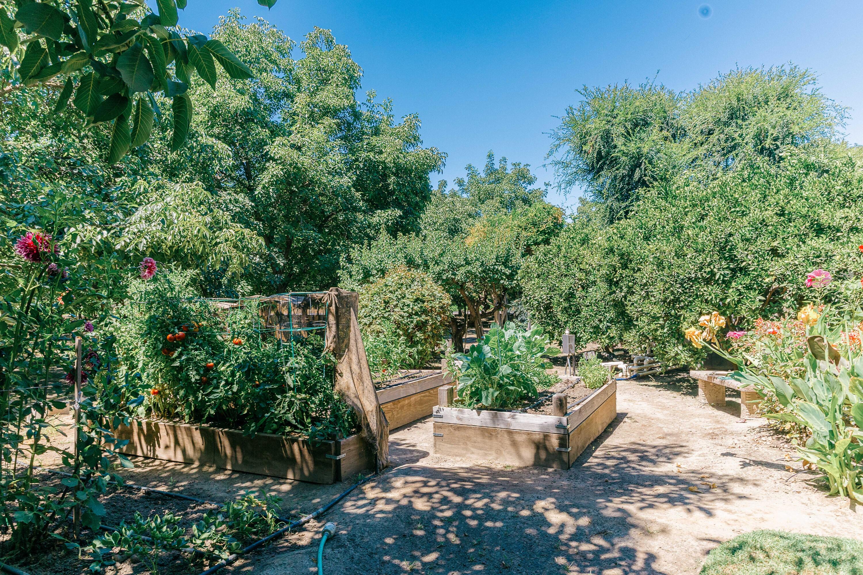 23894 Rd 126, Tulare, CA 93274