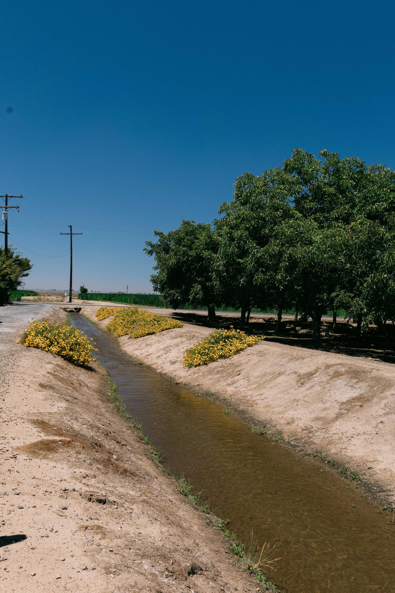 23894 Rd 126, Tulare, CA 93274
