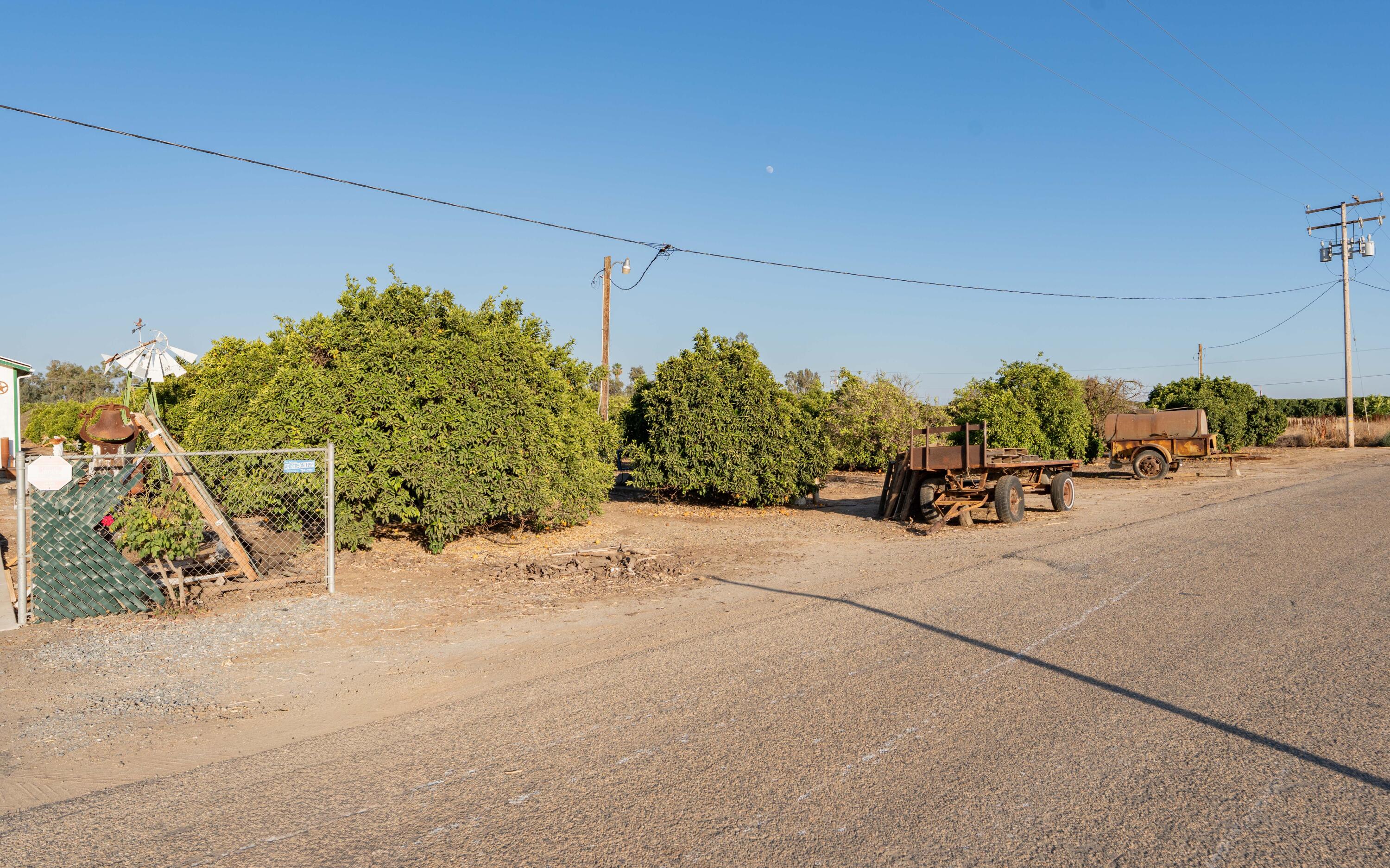 18884 Rd 212, Strathmore, CA 93267