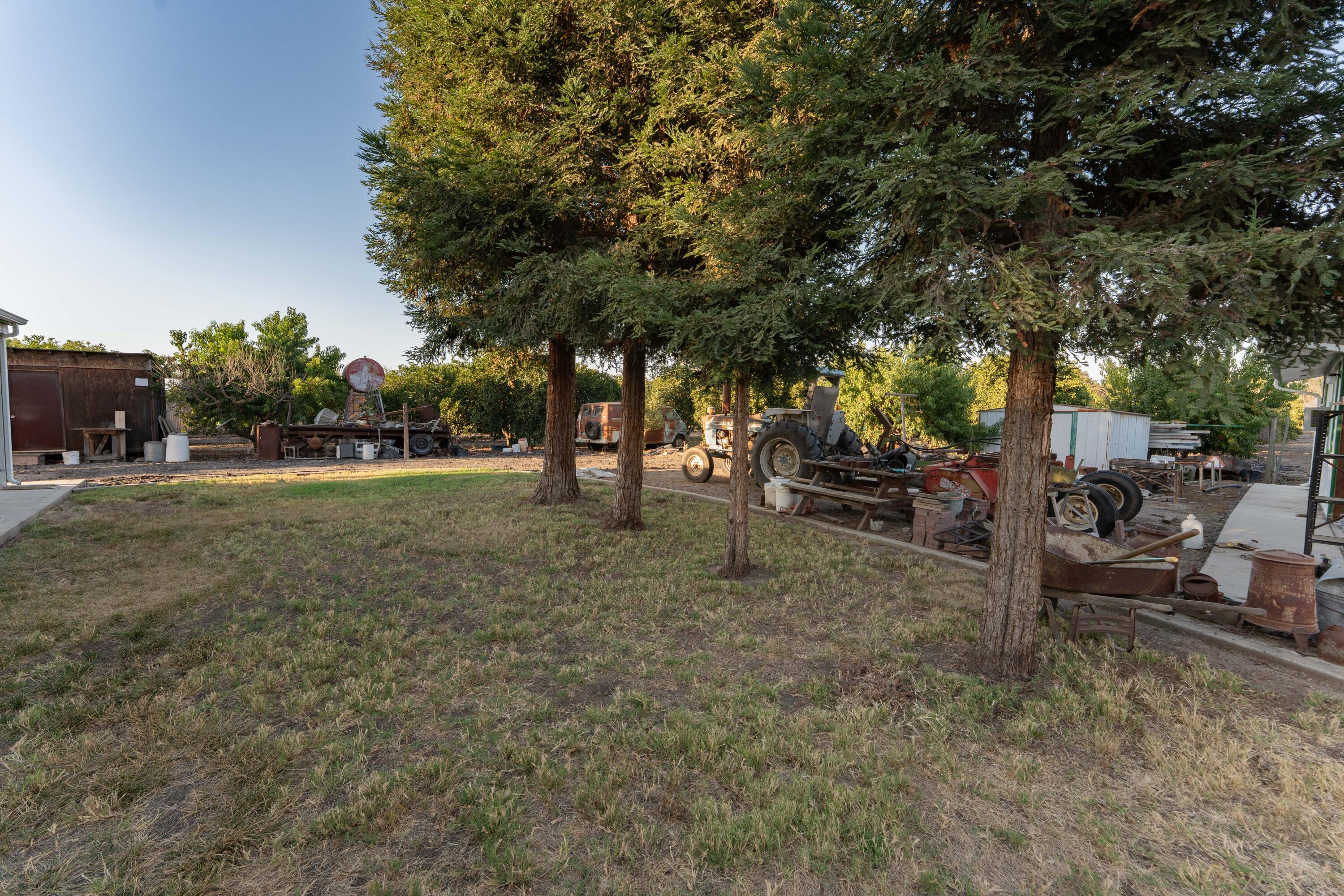 18884 Rd 212, Strathmore, CA 93267