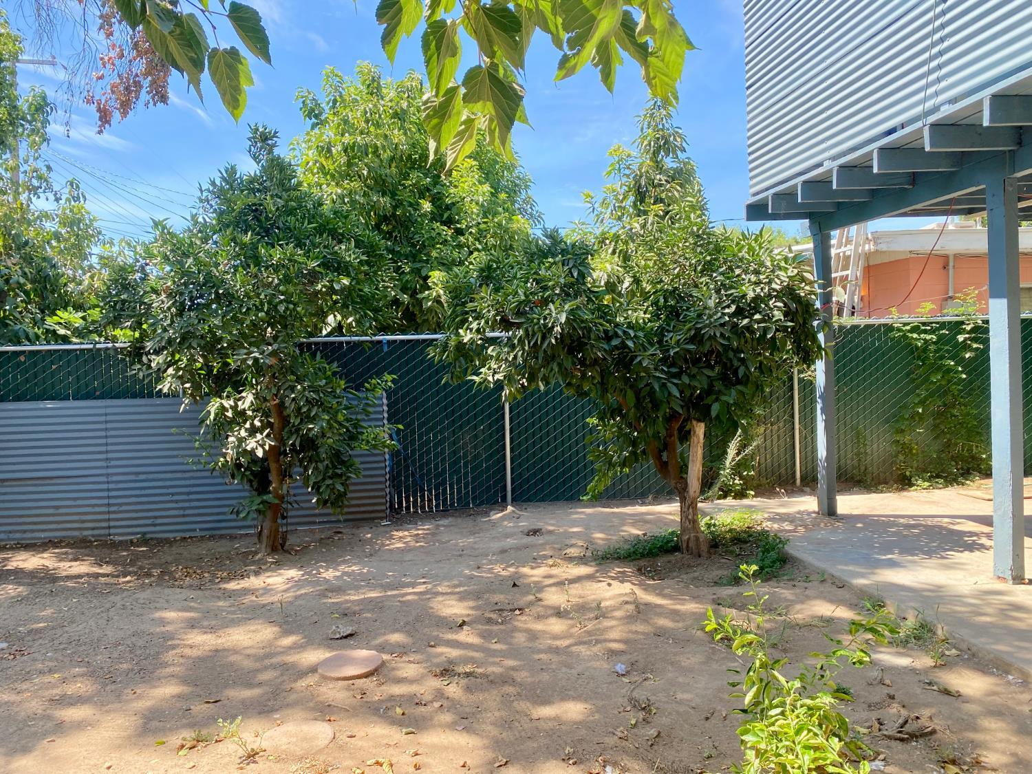 1264 N Pecan Ave, Reedley, CA 93654