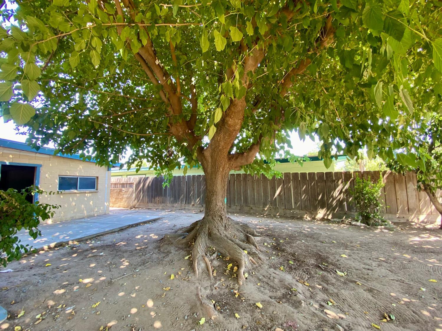 1264 N Pecan Ave, Reedley, CA 93654