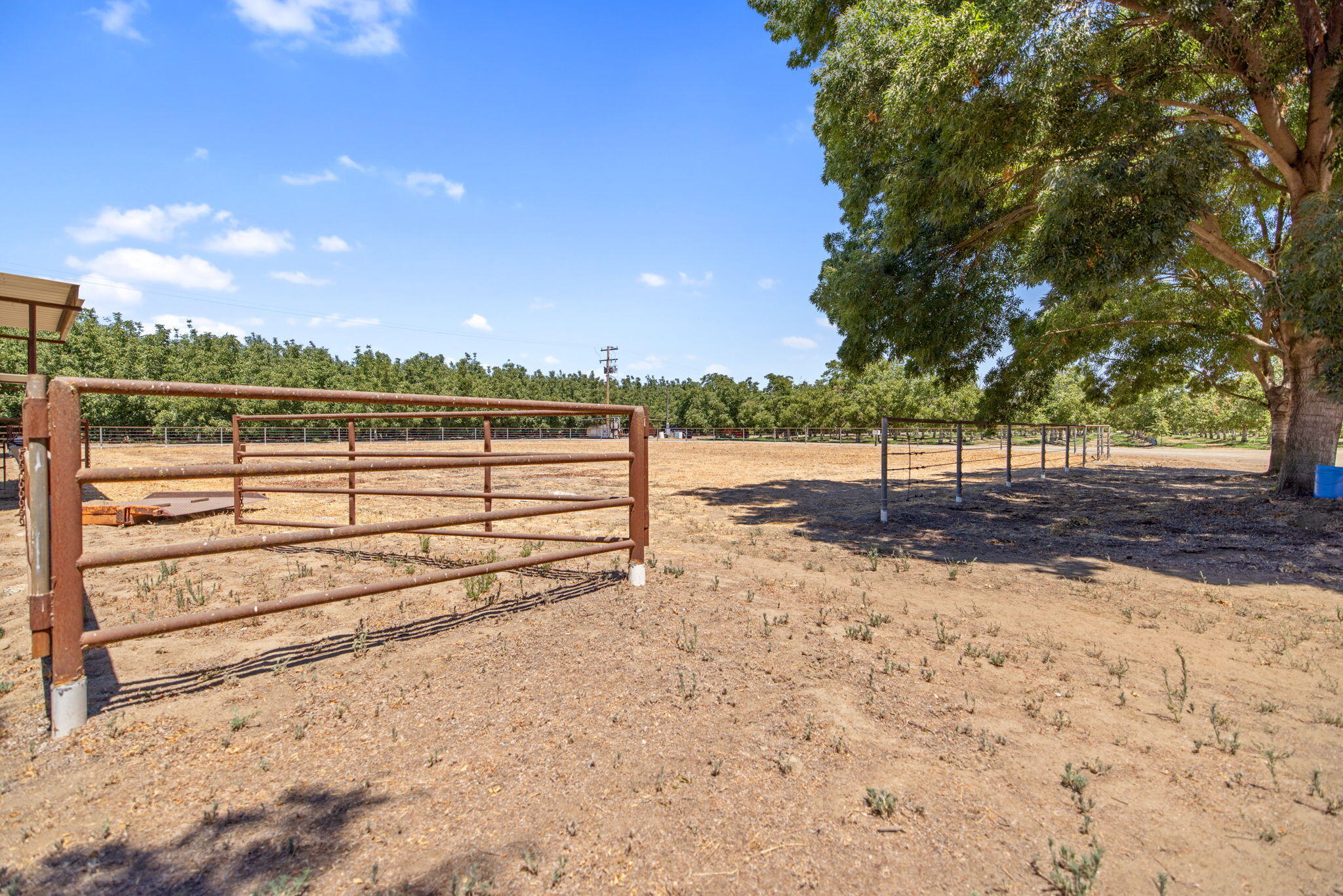 24246 Rd 168, Tulare, CA 93274