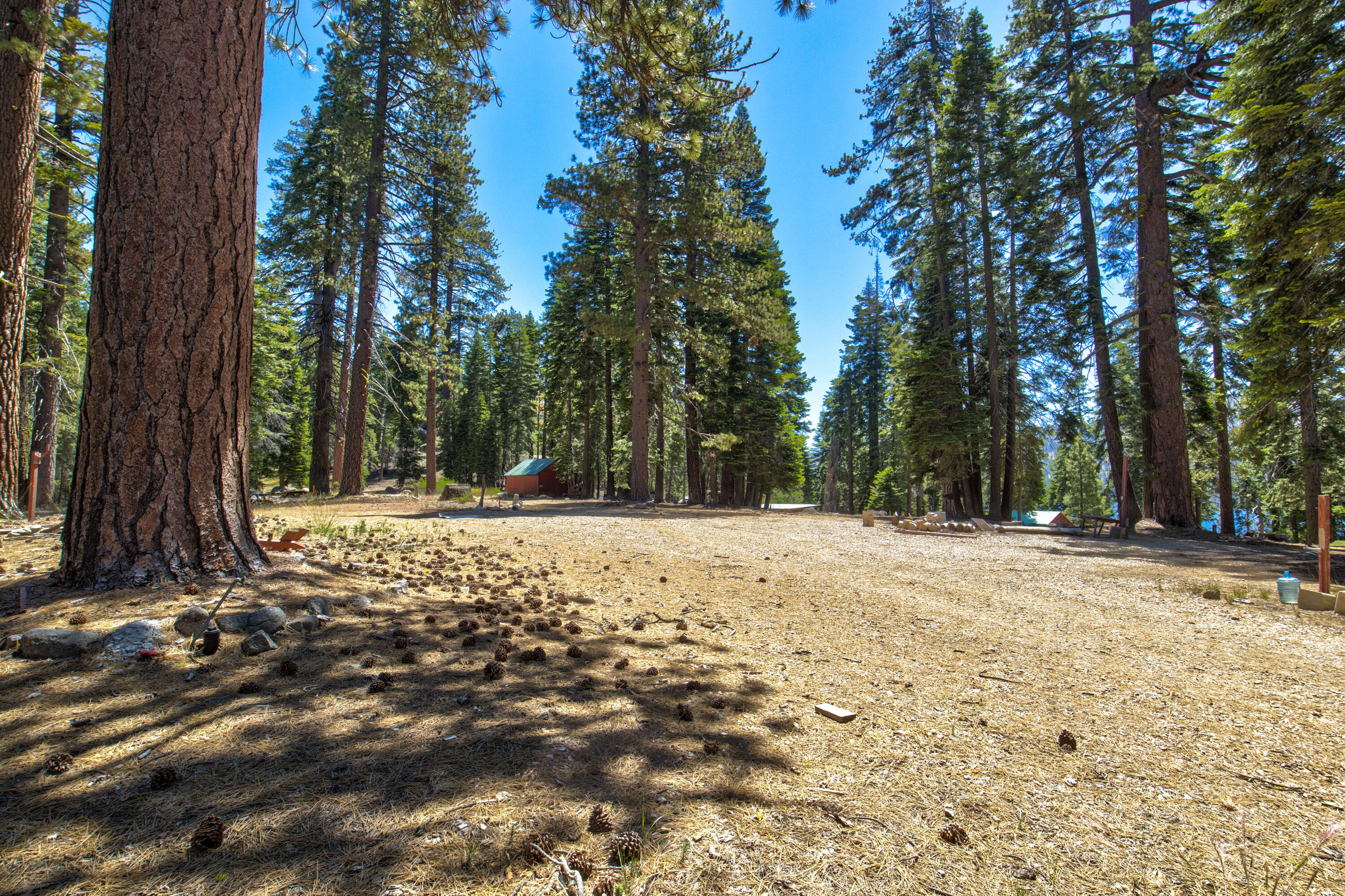 61011 Cedar Crest Ln, Lakeshore, CA 93634