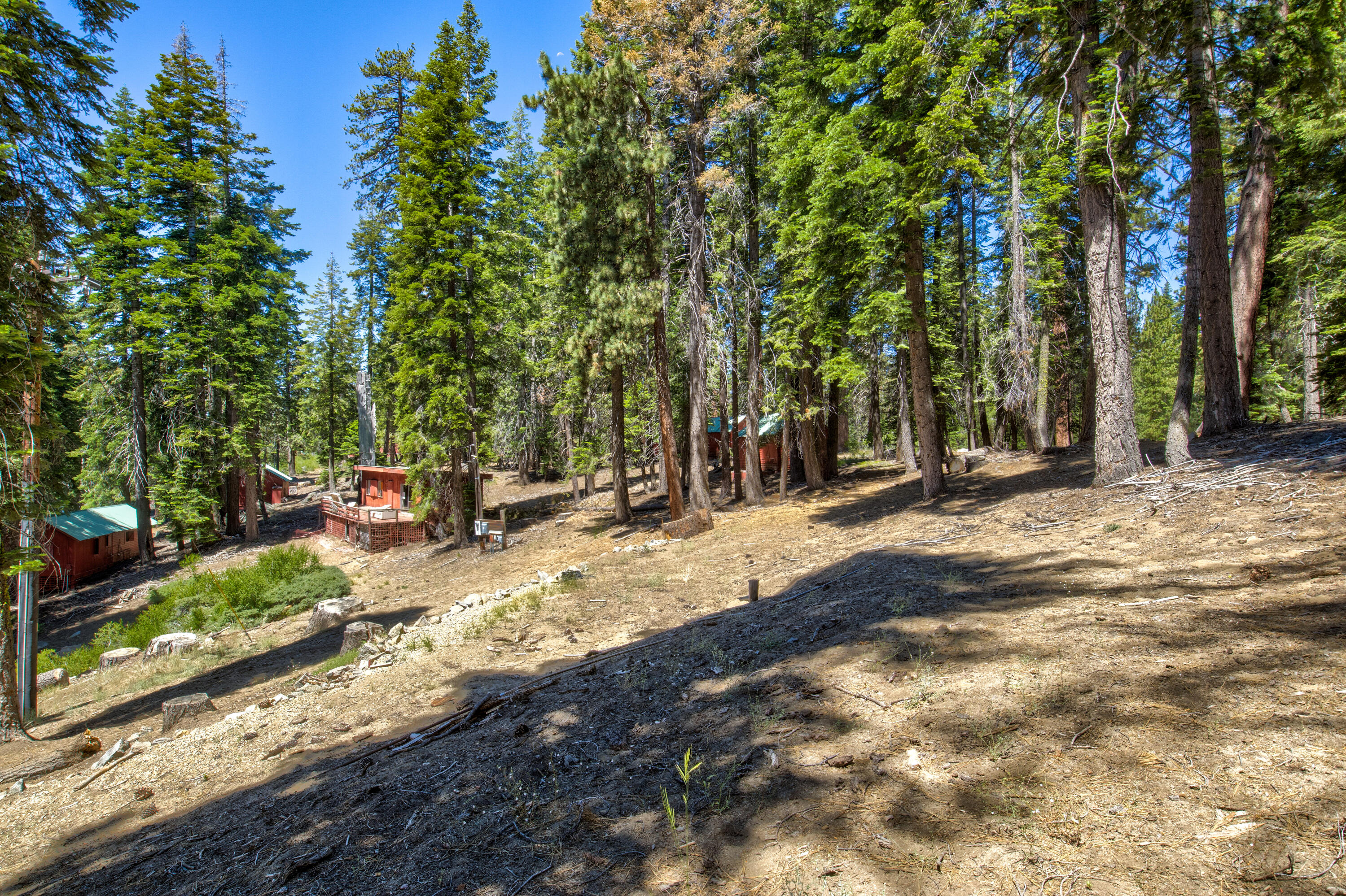 61011 Cedar Crest Ln, Lakeshore, CA 93634