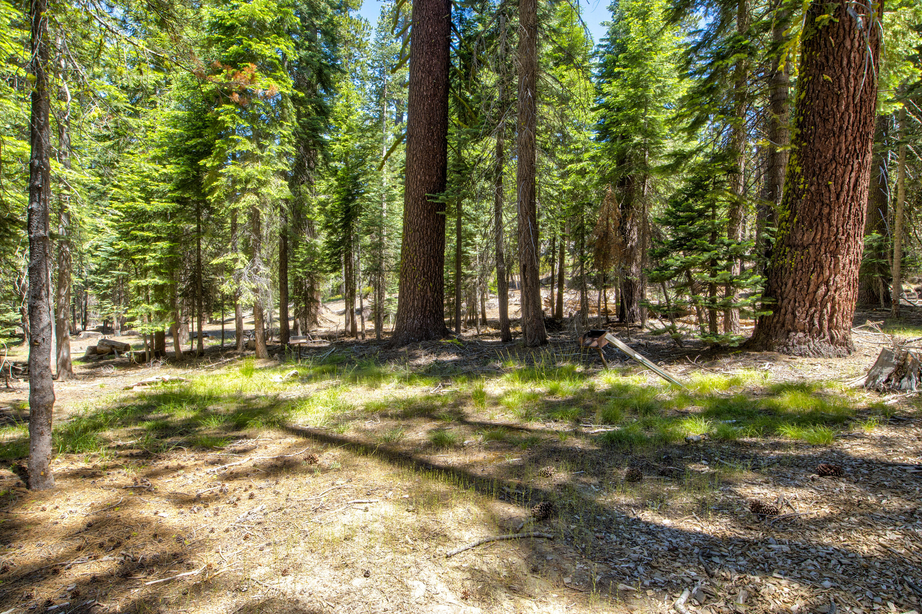 61011 Cedar Crest Ln, Lakeshore, CA 93634