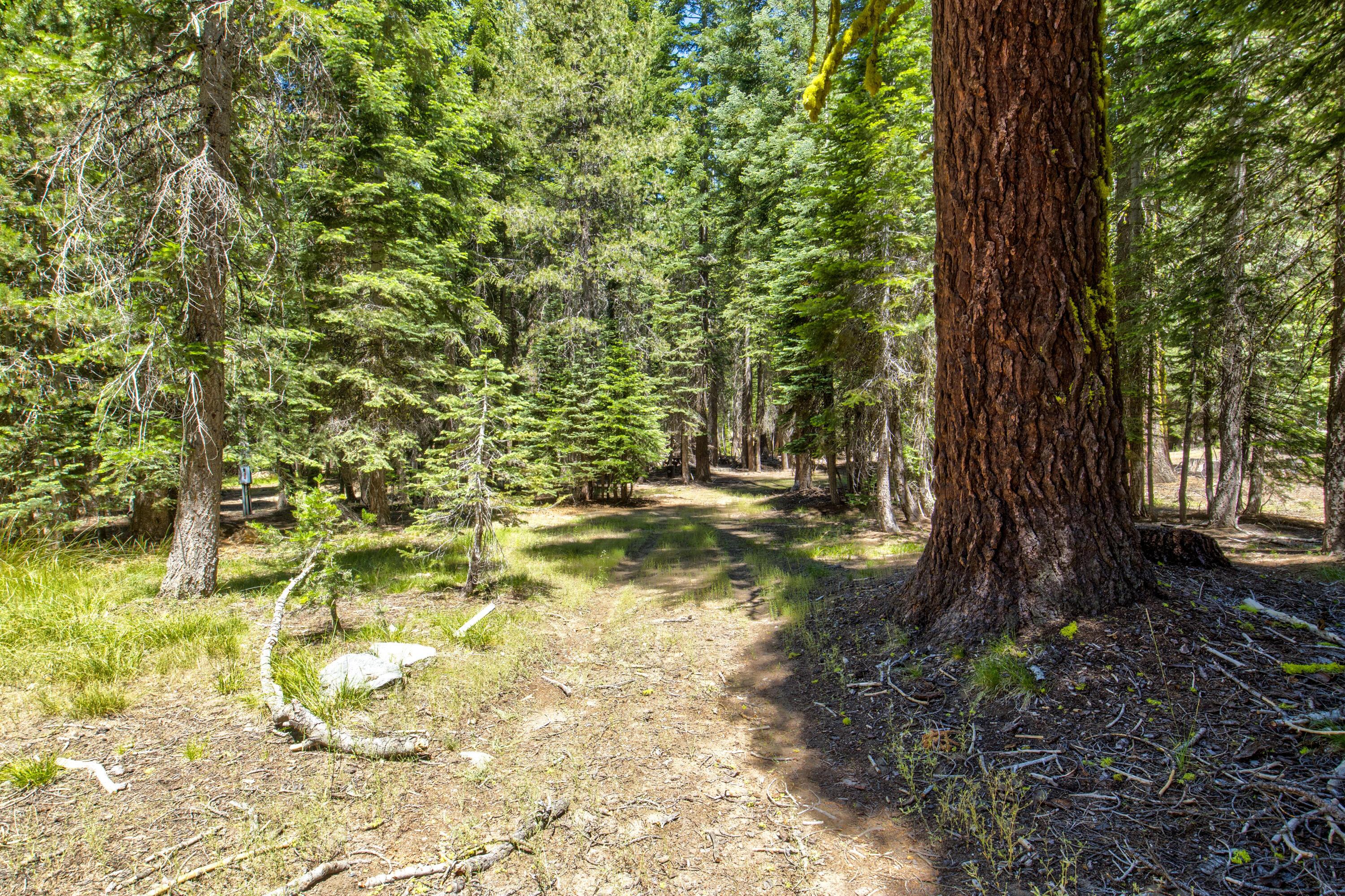 61011 Cedar Crest Ln, Lakeshore, CA 93634