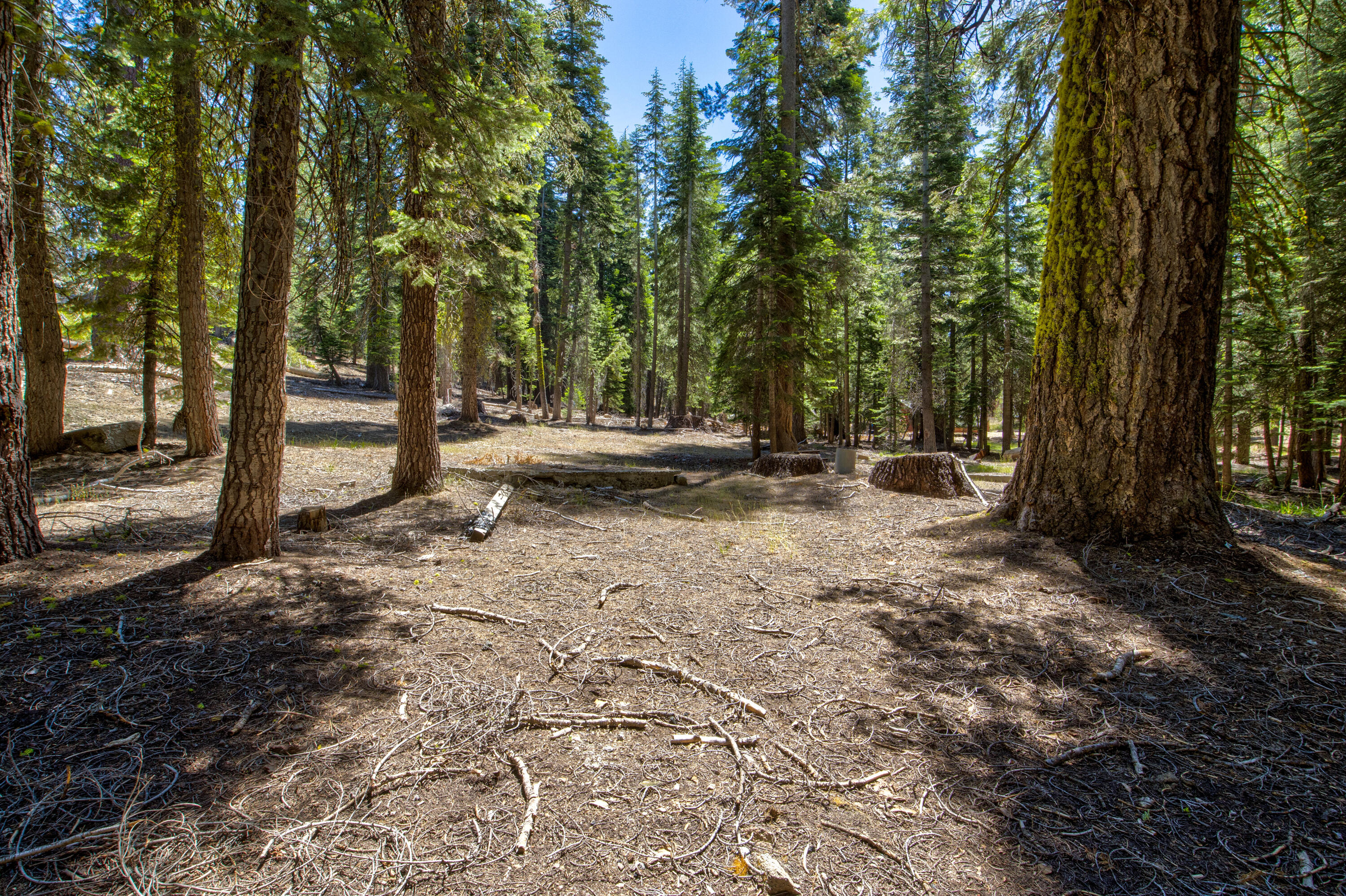 61011 Cedar Crest Ln, Lakeshore, CA 93634
