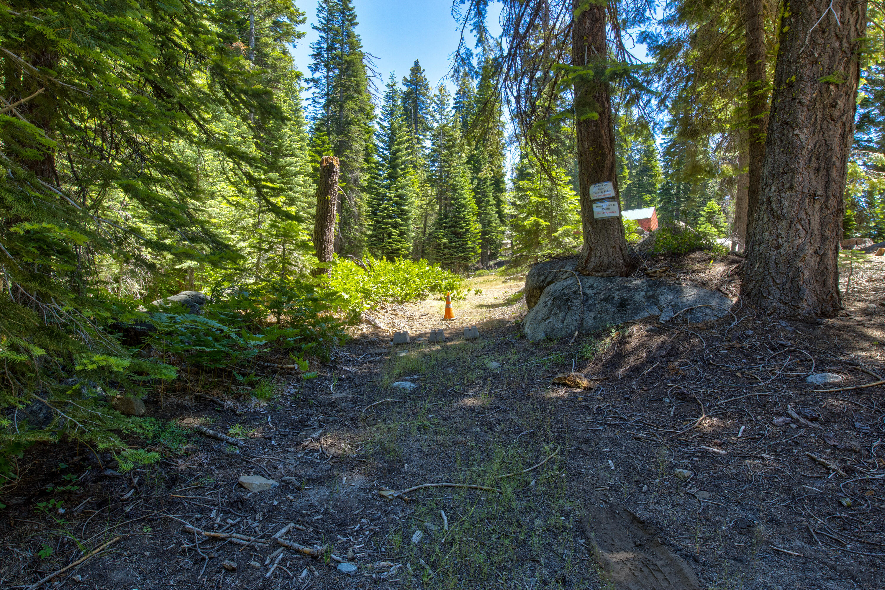 61011 Cedar Crest Ln, Lakeshore, CA 93634