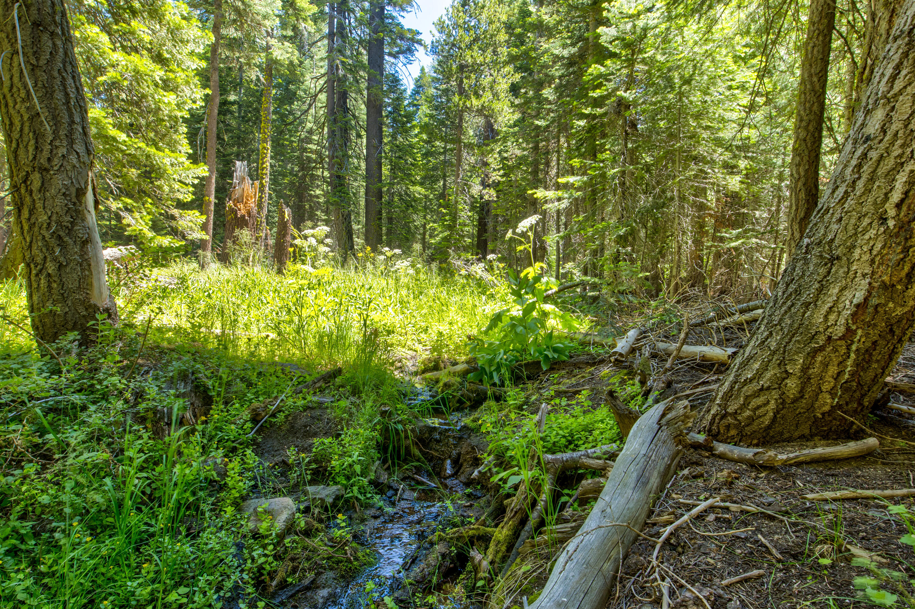 61011 Cedar Crest Ln, Lakeshore, CA 93634