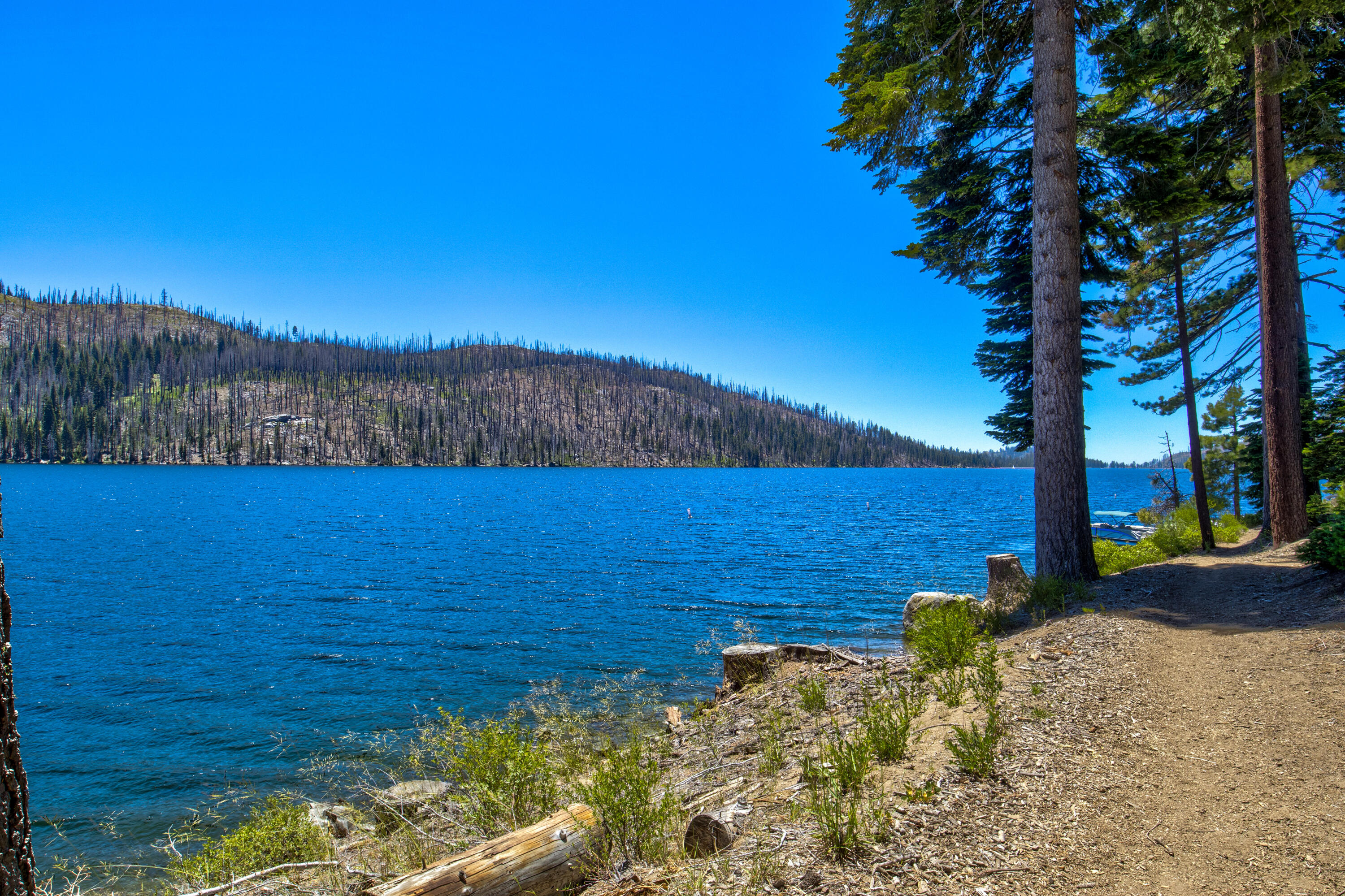 61011 Cedar Crest Ln, Lakeshore, CA 93634
