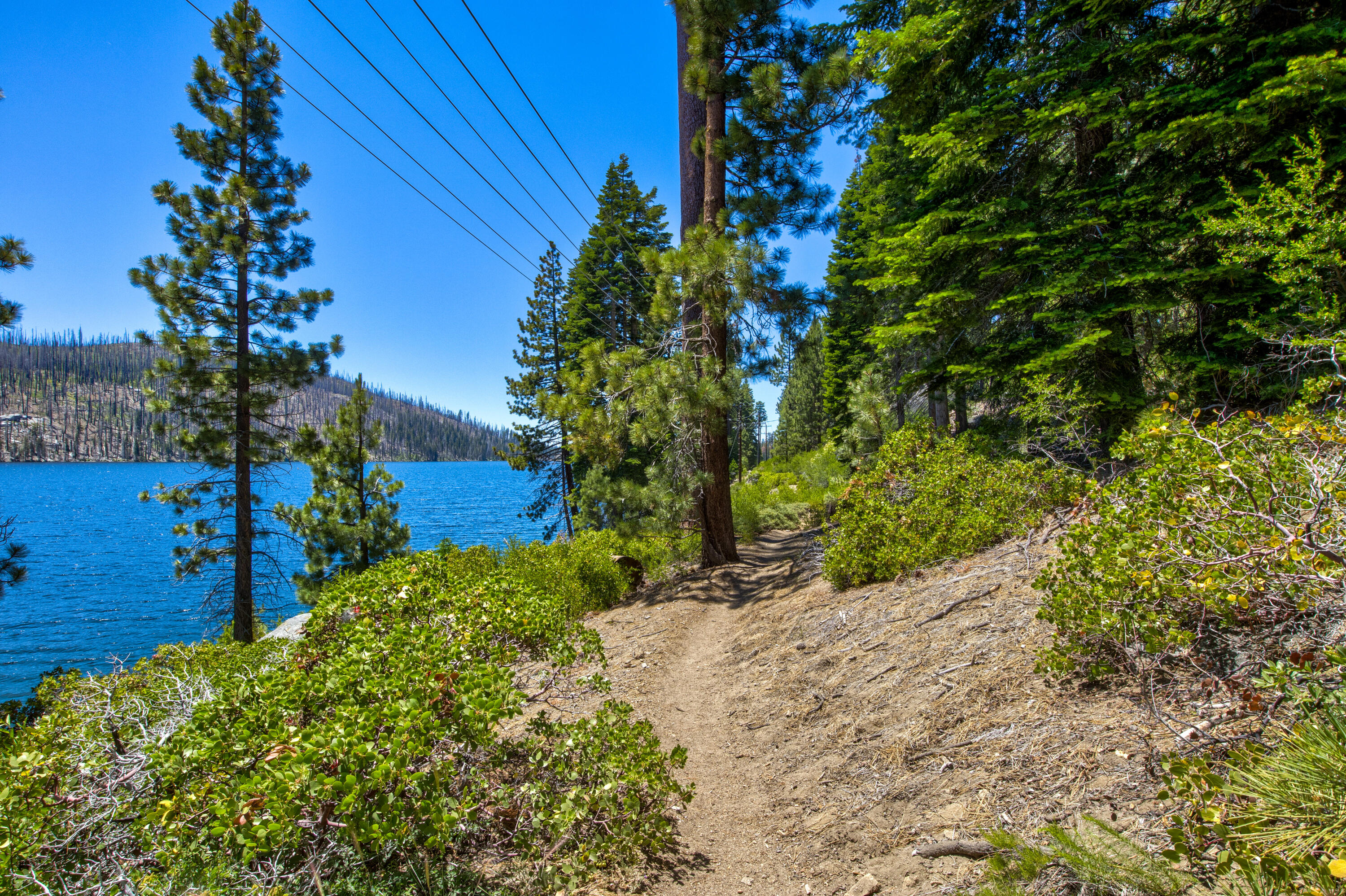 61011 Cedar Crest Ln, Lakeshore, CA 93634