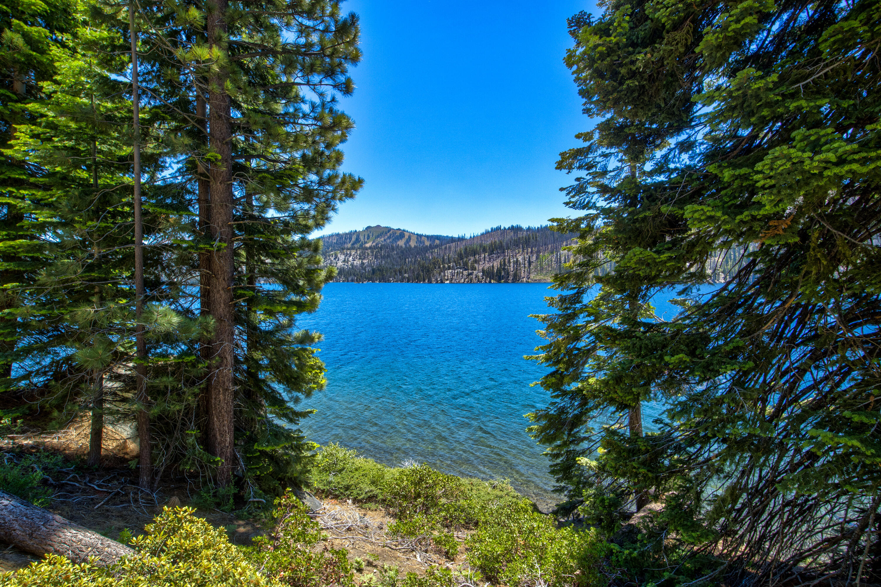 61011 Cedar Crest Ln, Lakeshore, CA 93634