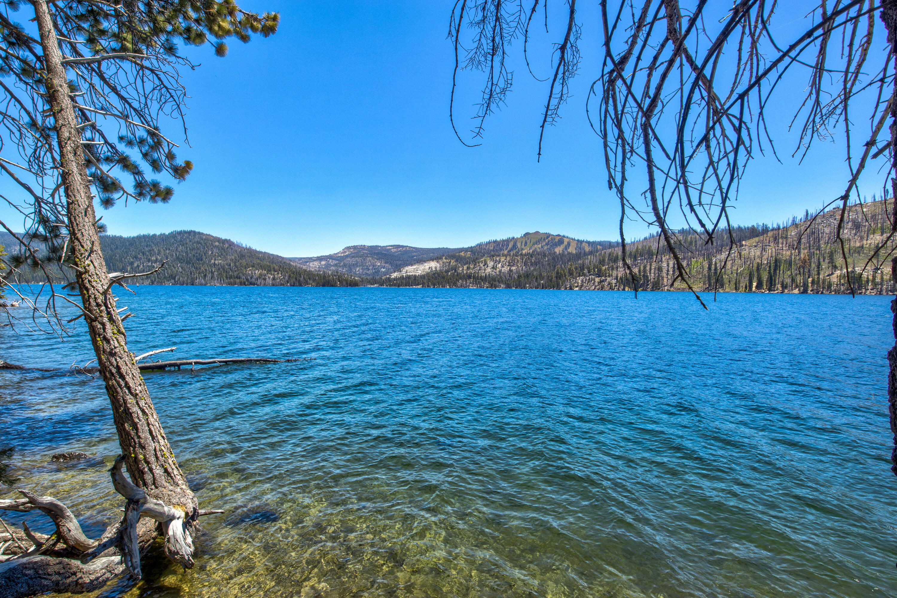 61011 Cedar Crest Ln, Lakeshore, CA 93634
