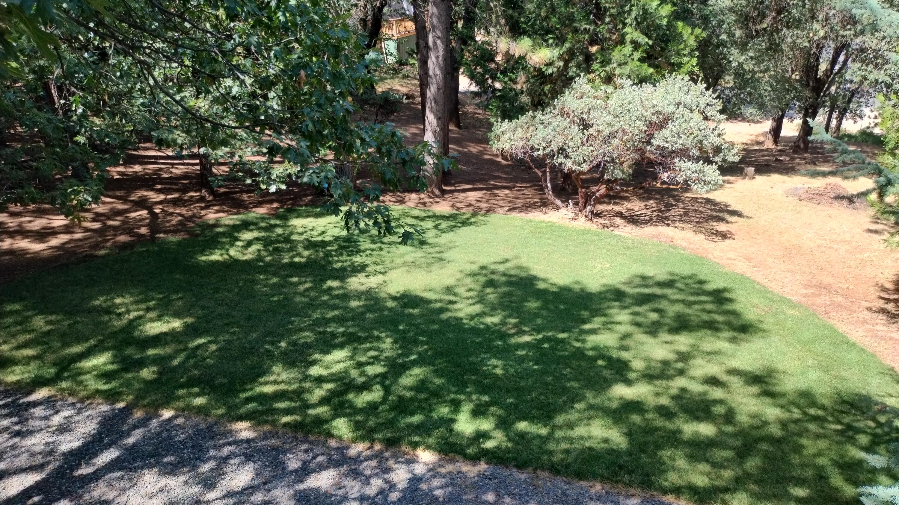 1271 Wy Ct, Camp Nelson, CA 93265