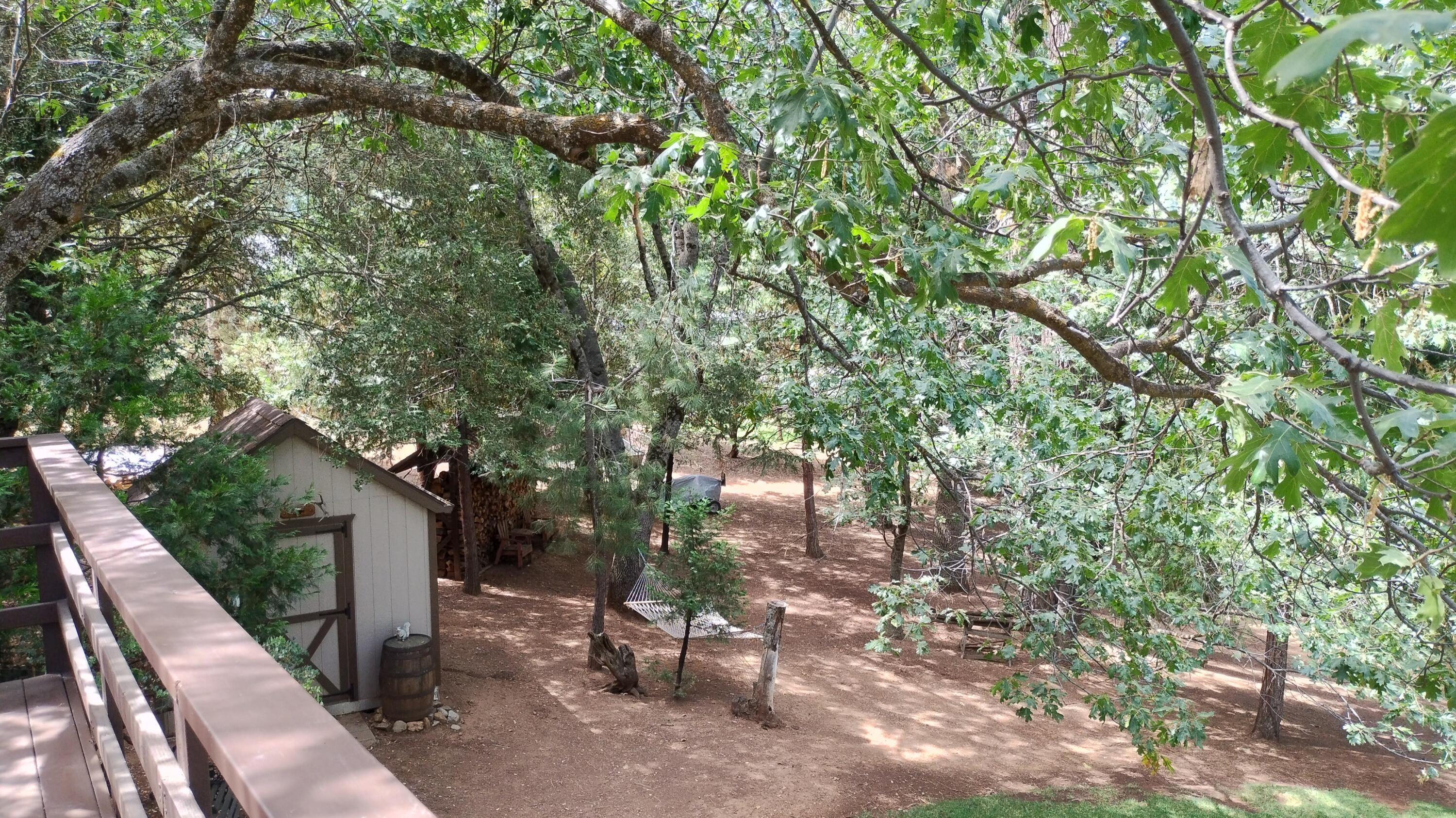 1271 Wy Ct, Camp Nelson, CA 93265