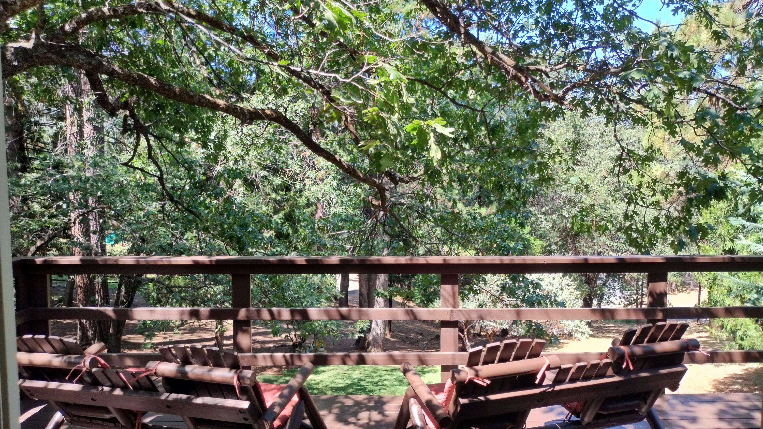 1271 Wy Ct, Camp Nelson, CA 93265