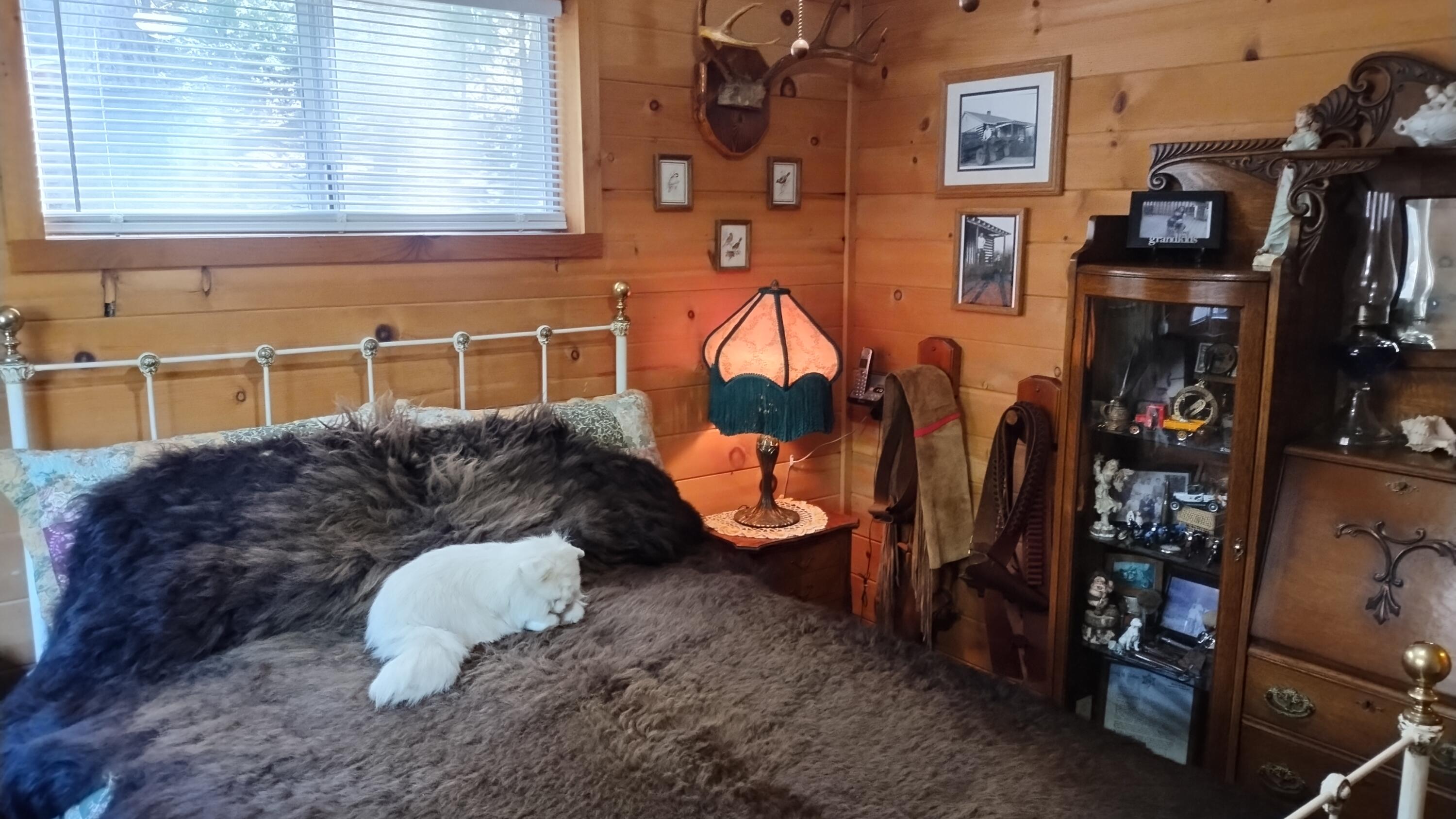 1271 Wy Ct, Camp Nelson, CA 93265