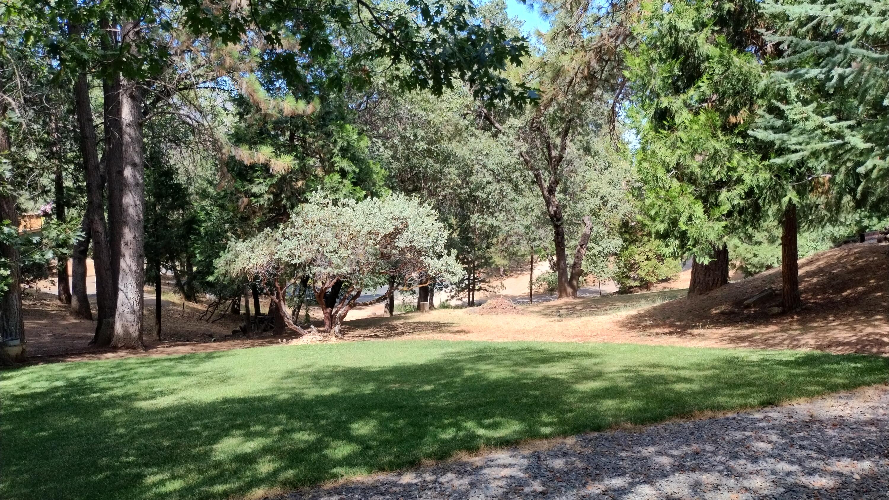 1271 Wy Ct, Camp Nelson, CA 93265