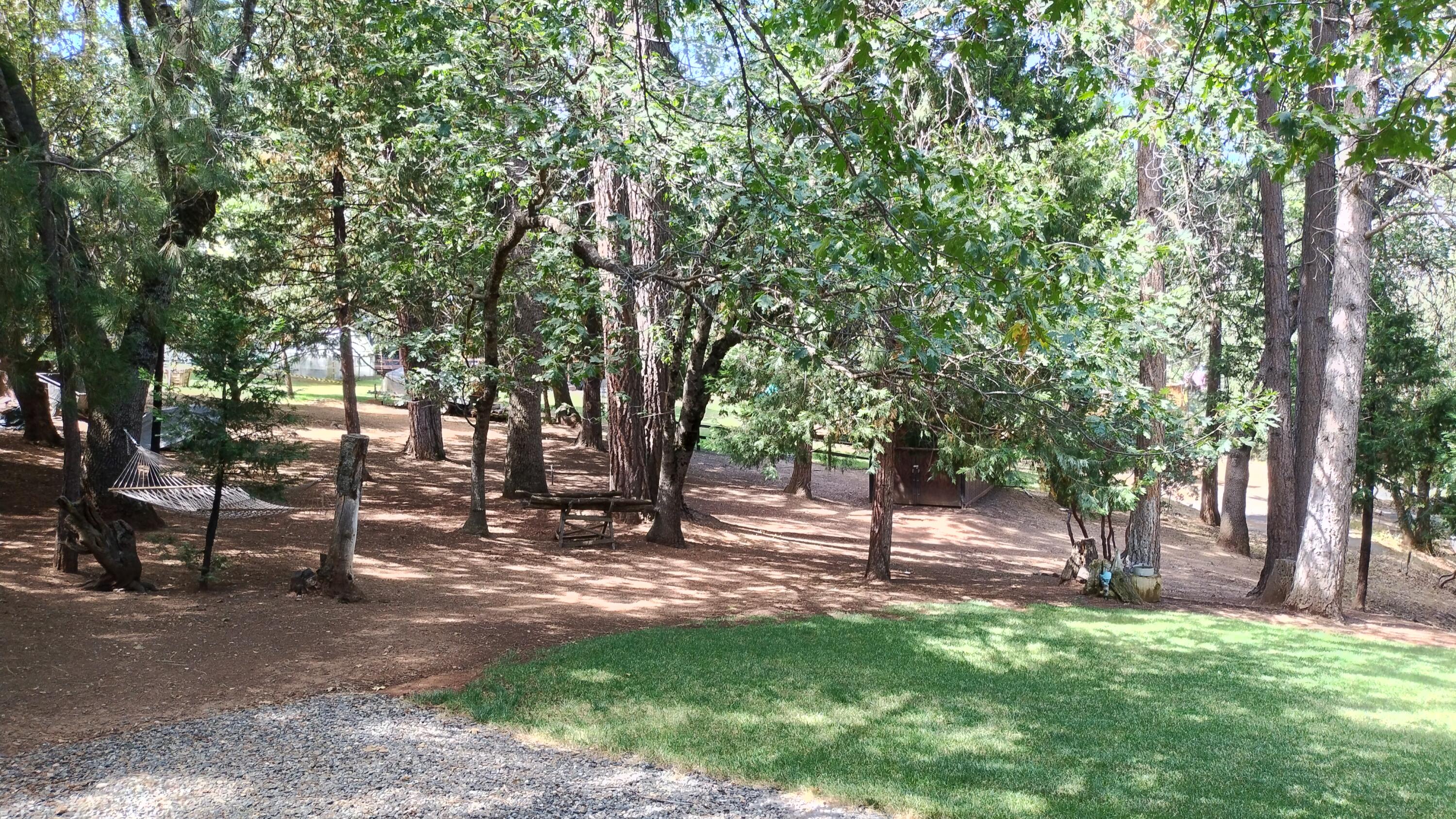 1271 Wy Ct, Camp Nelson, CA 93265