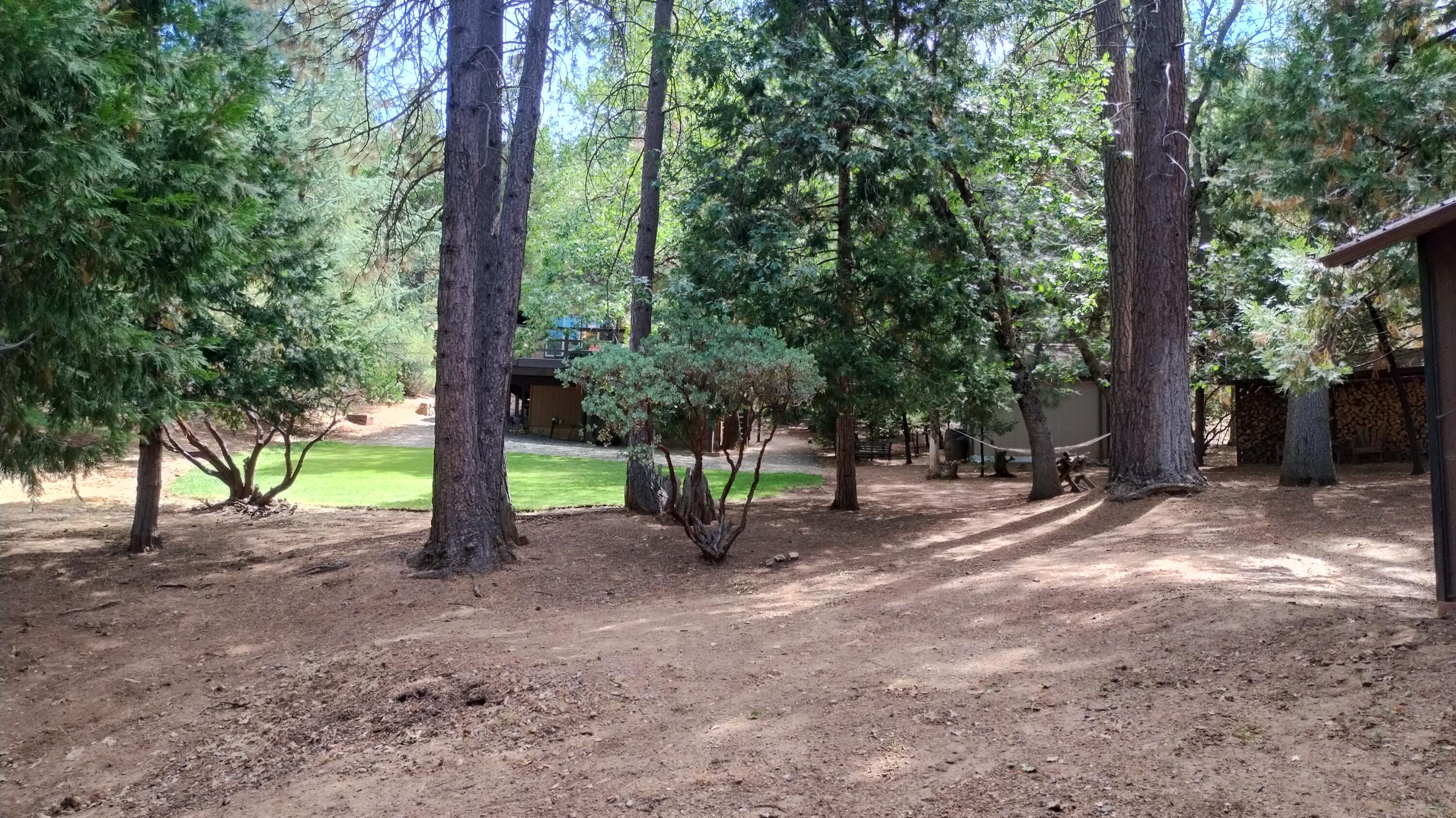 1271 Wy Ct, Camp Nelson, CA 93265