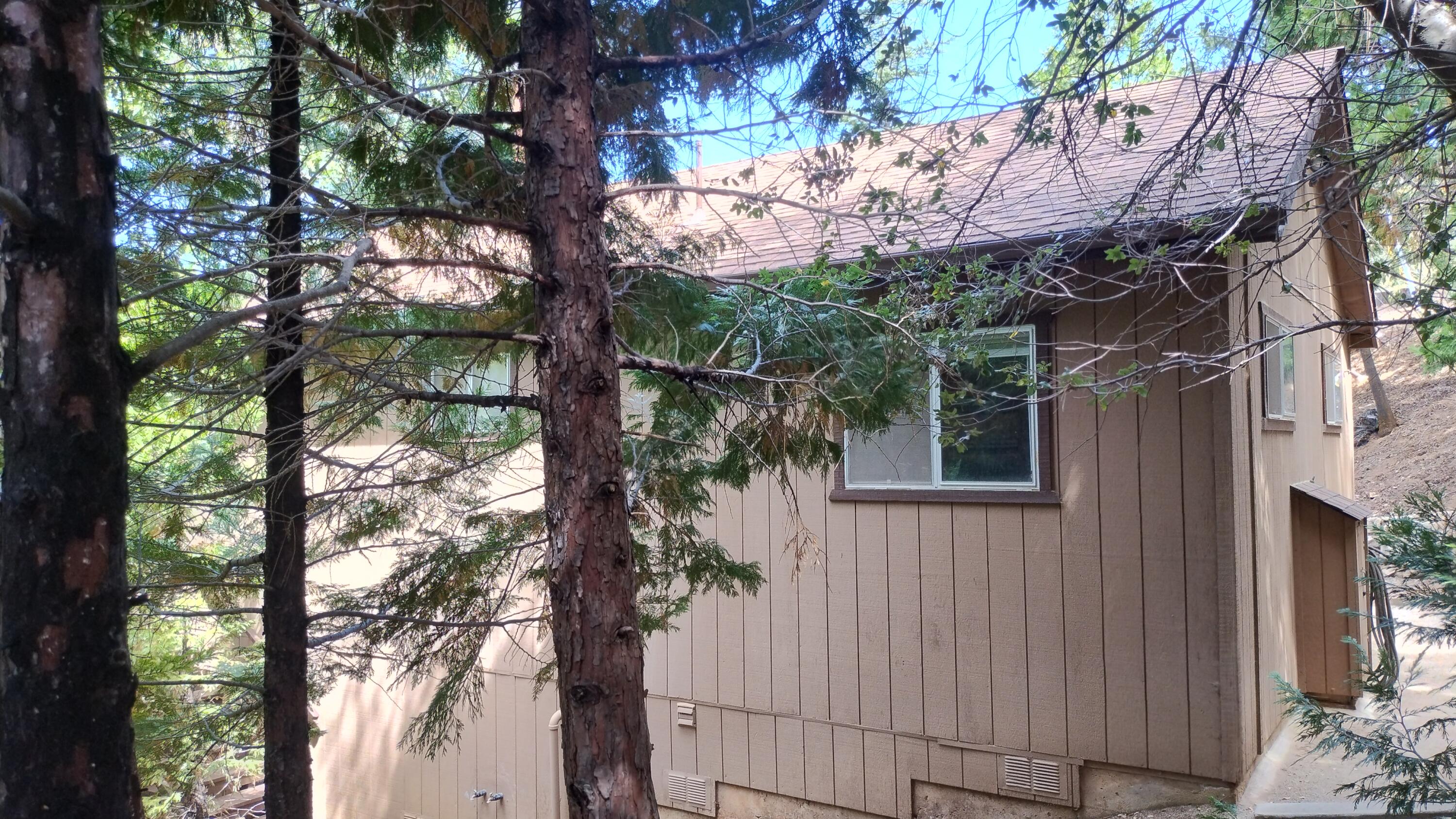 1271 Wy Ct, Camp Nelson, CA 93265