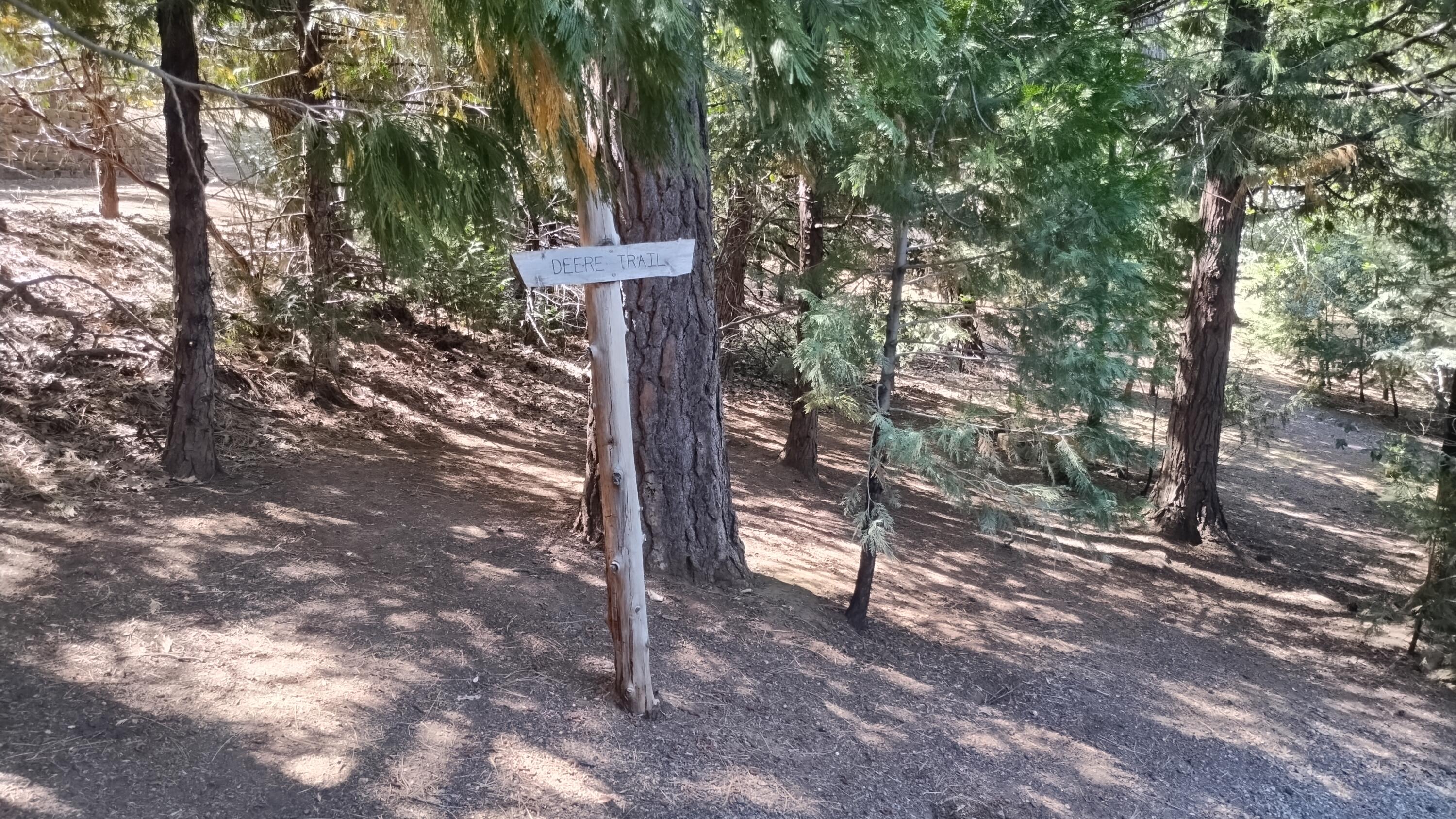1271 Wy Ct, Camp Nelson, CA 93265