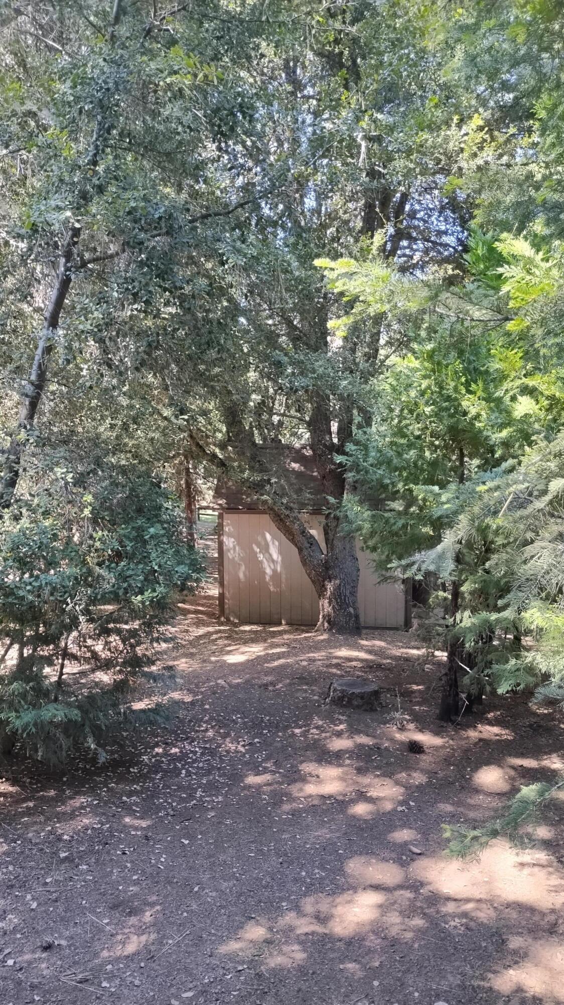 1271 Wy Ct, Camp Nelson, CA 93265