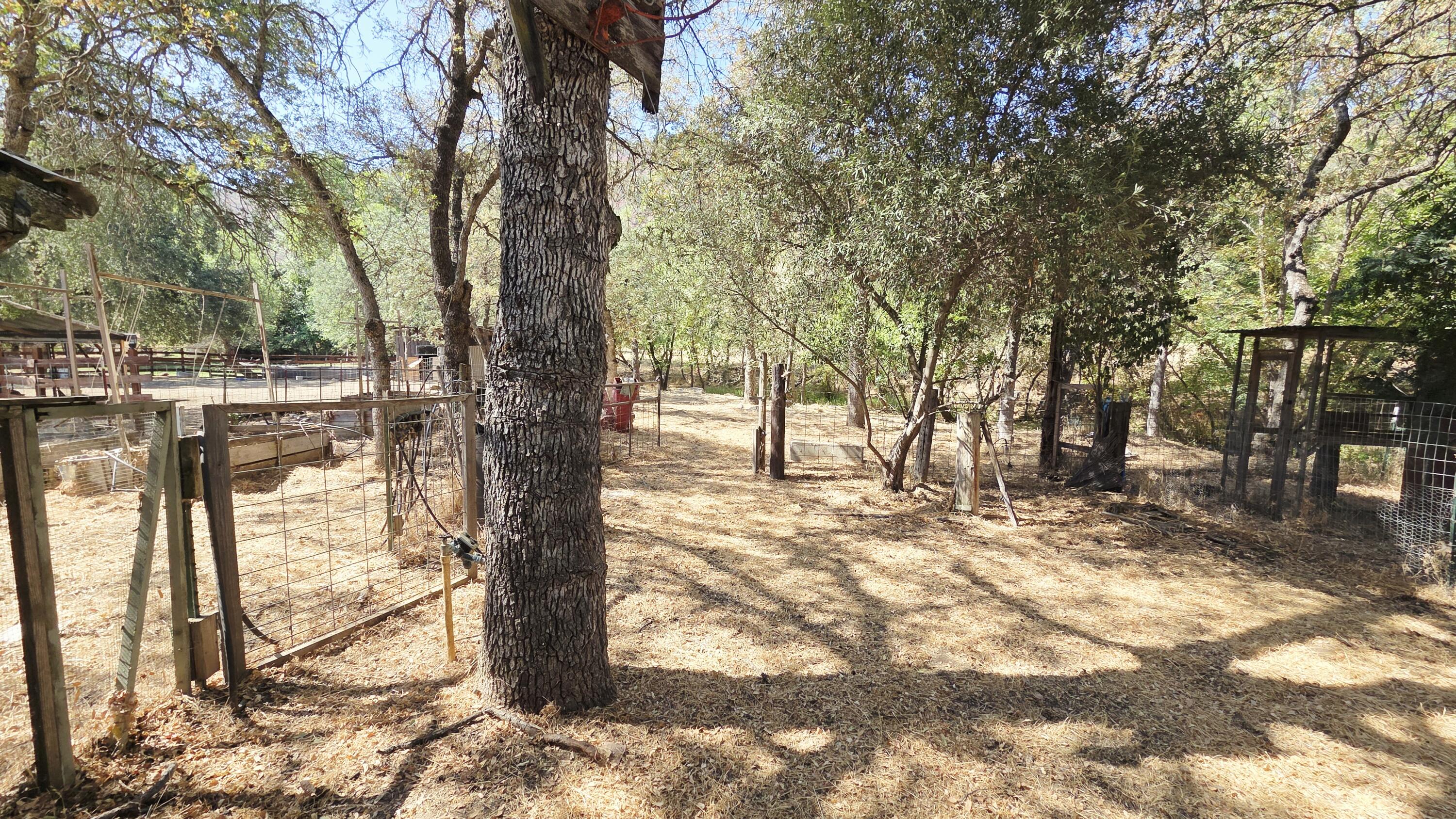 37647 Rio Vista Dr, Springville, CA 93265