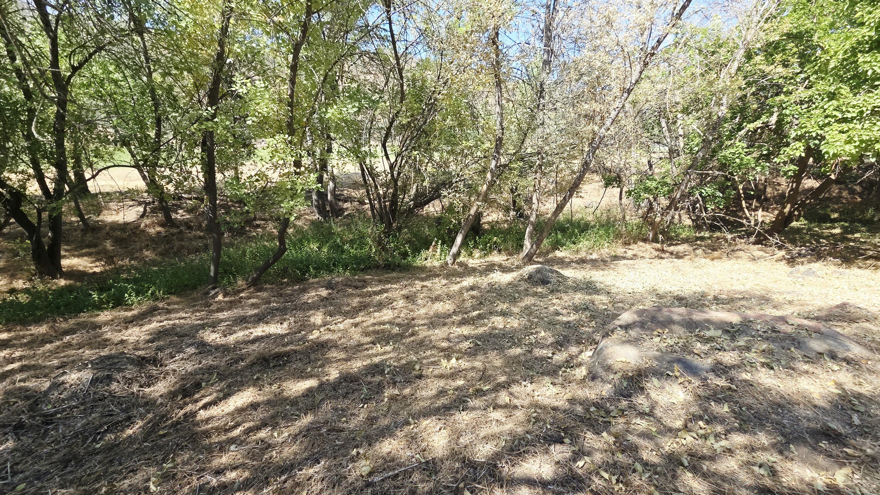 37647 Rio Vista Dr, Springville, CA 93265