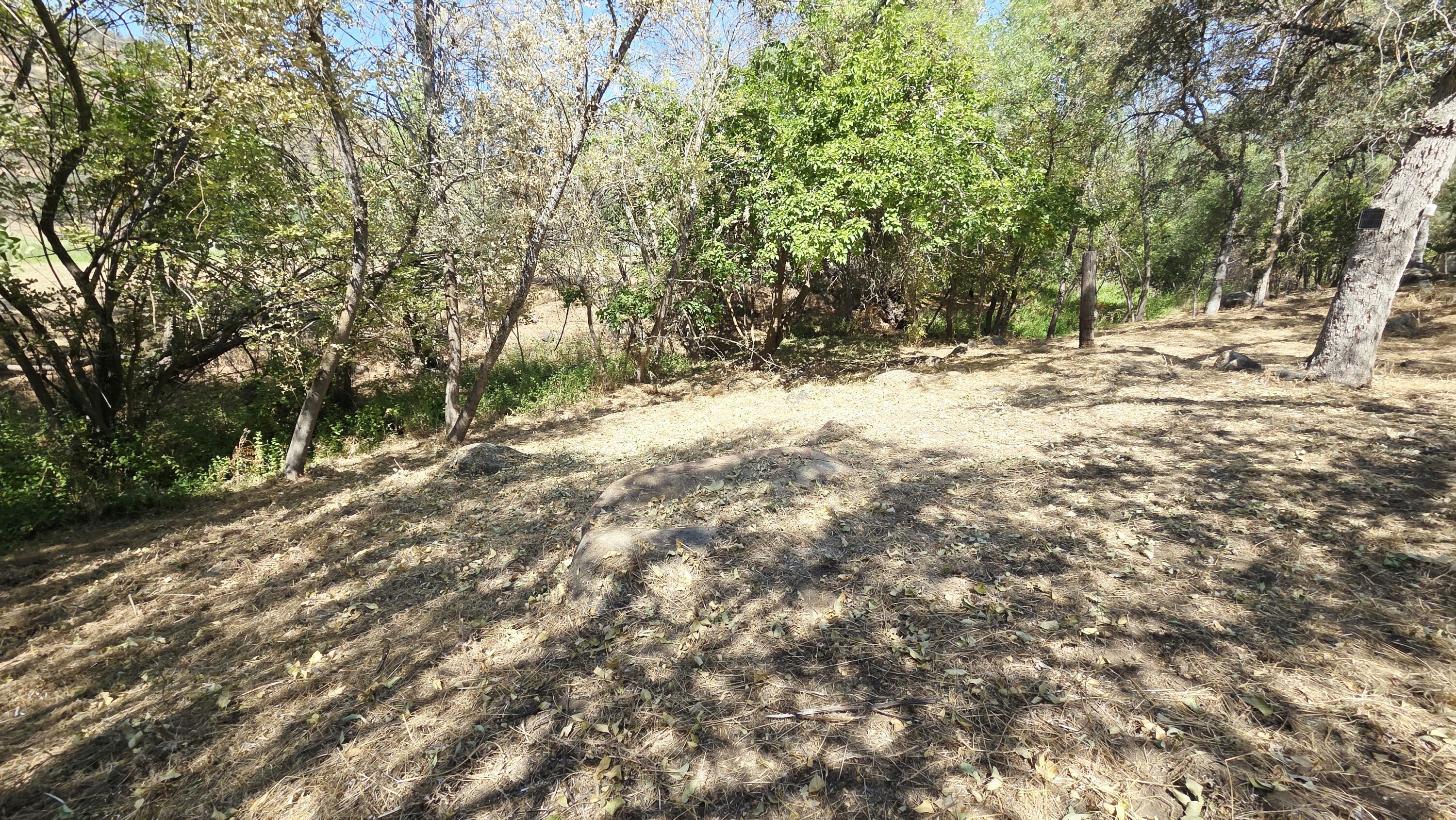 37647 Rio Vista Dr, Springville, CA 93265