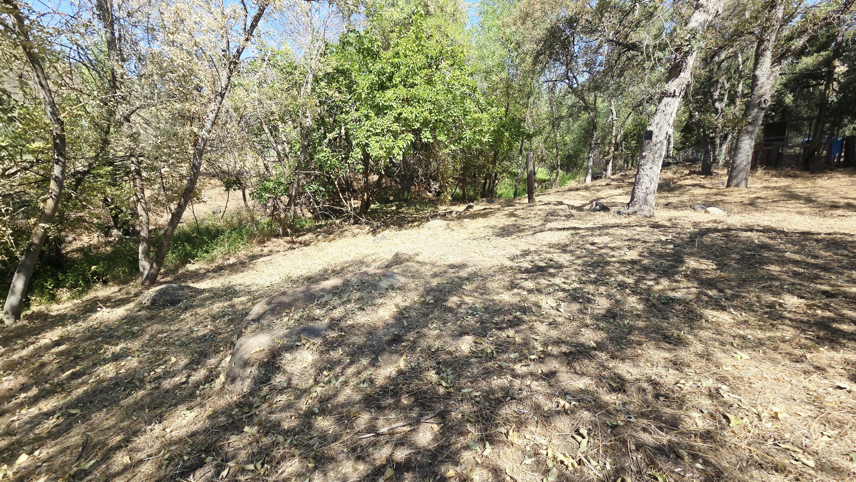 37647 Rio Vista Dr, Springville, CA 93265