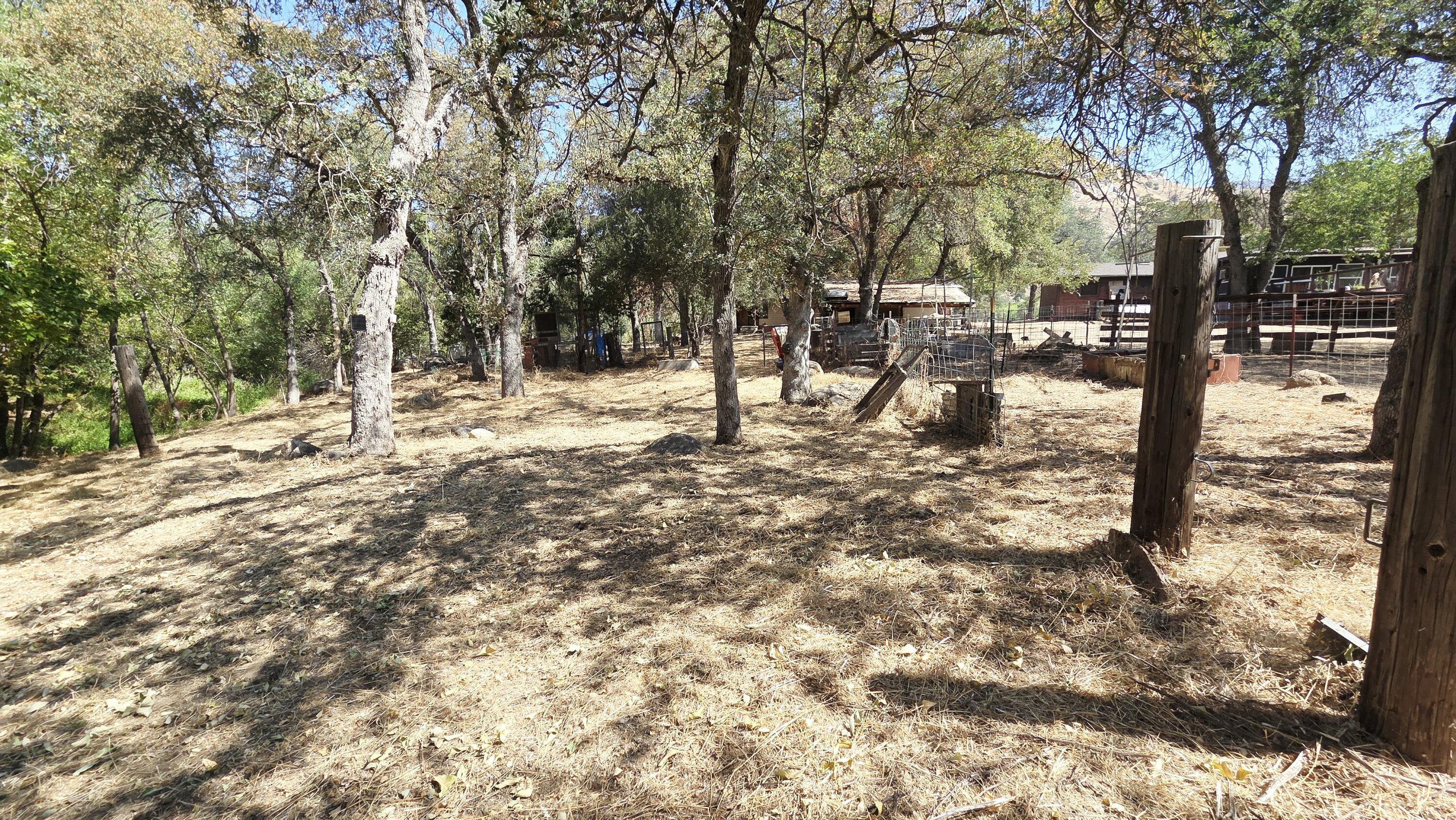 37647 Rio Vista Dr, Springville, CA 93265