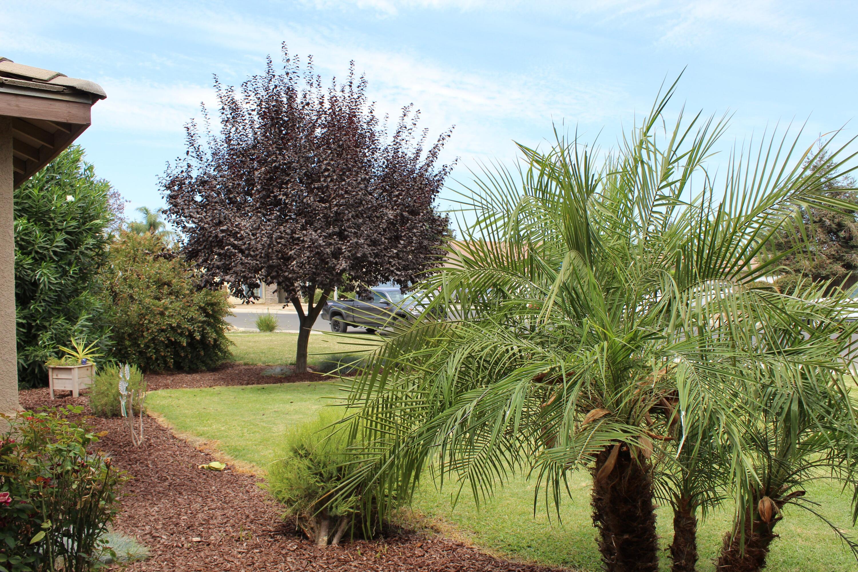 2151 W Orange Ave, Porterville, CA 93257