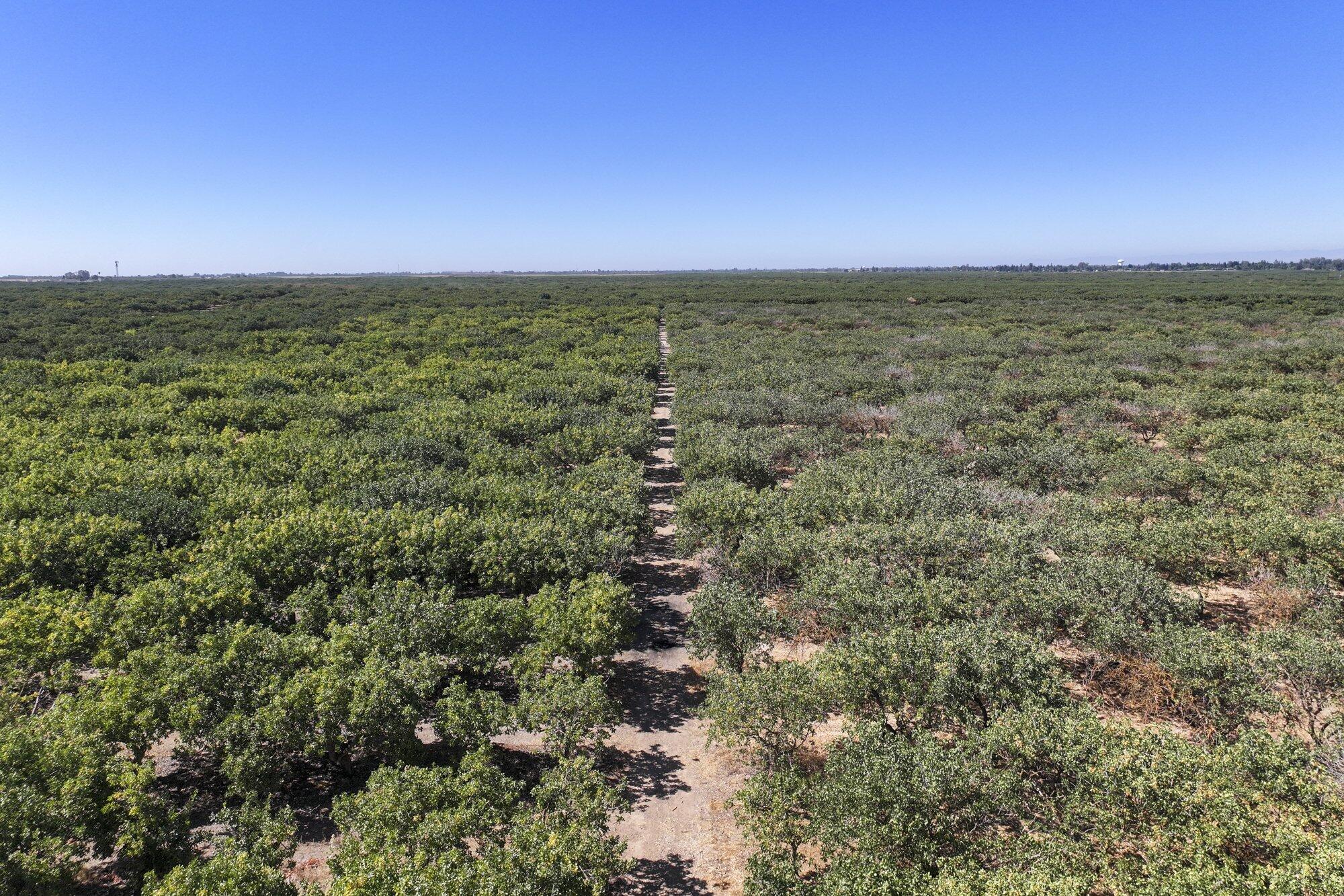 0 Road 20 1/2, Madera, CA 93637