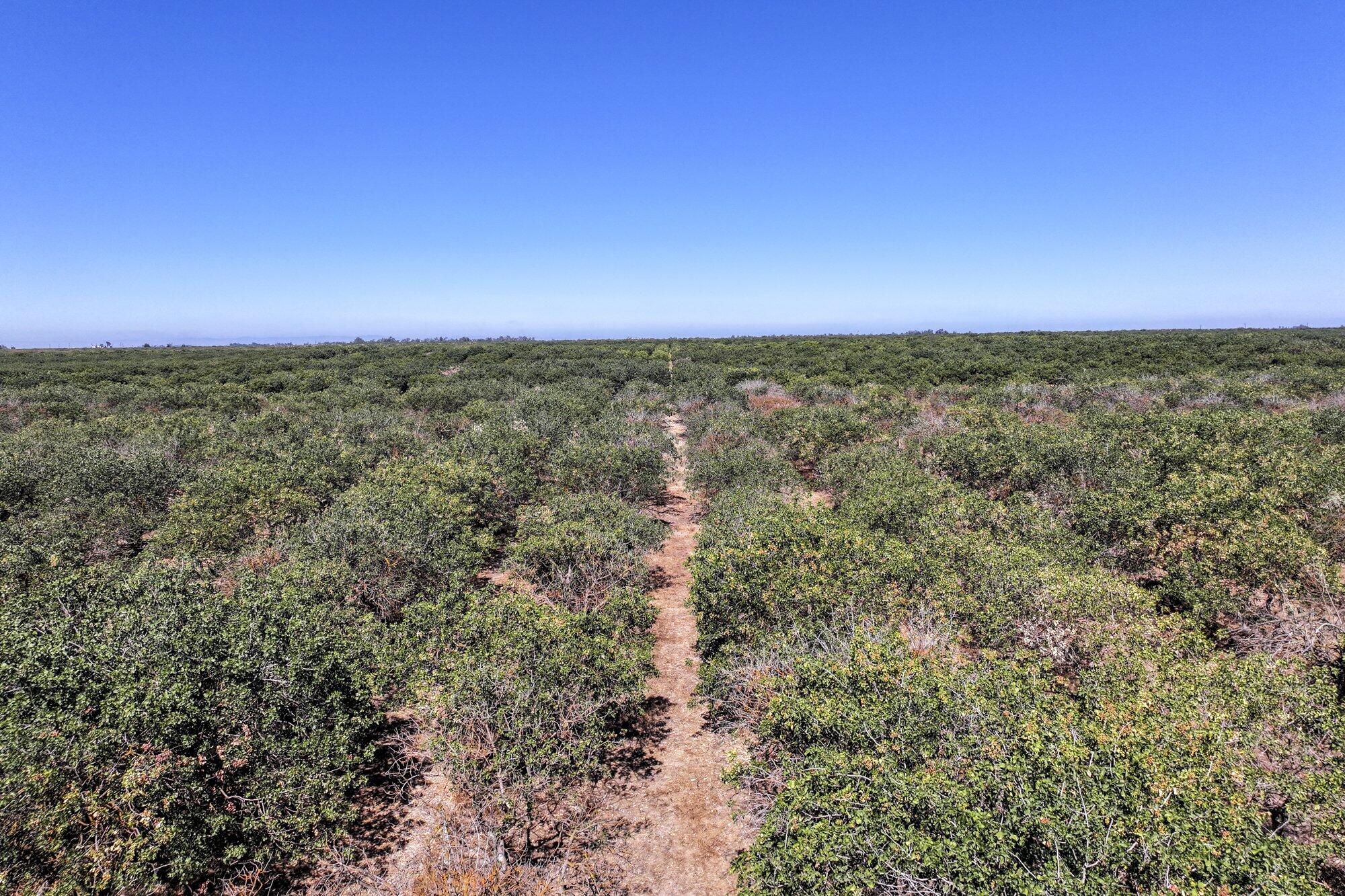 0 Road 20 1/2, Madera, CA 93637