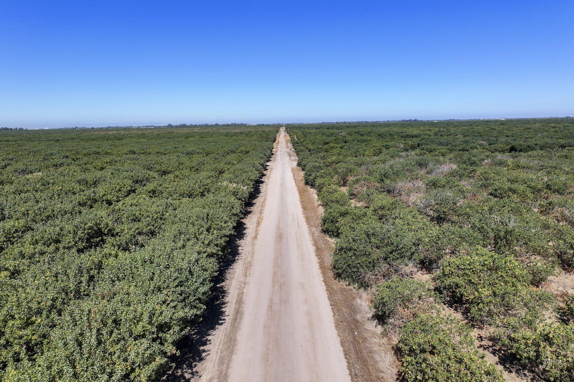 0 Road 20 1/2, Madera, CA 93637
