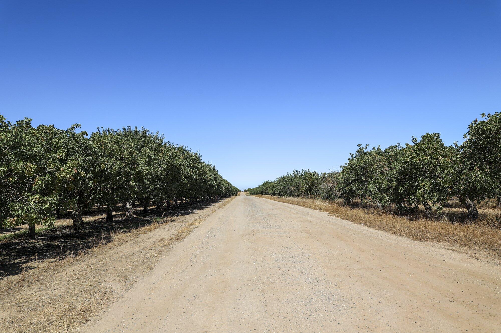 0 Road 20 1/2, Madera, CA 93637