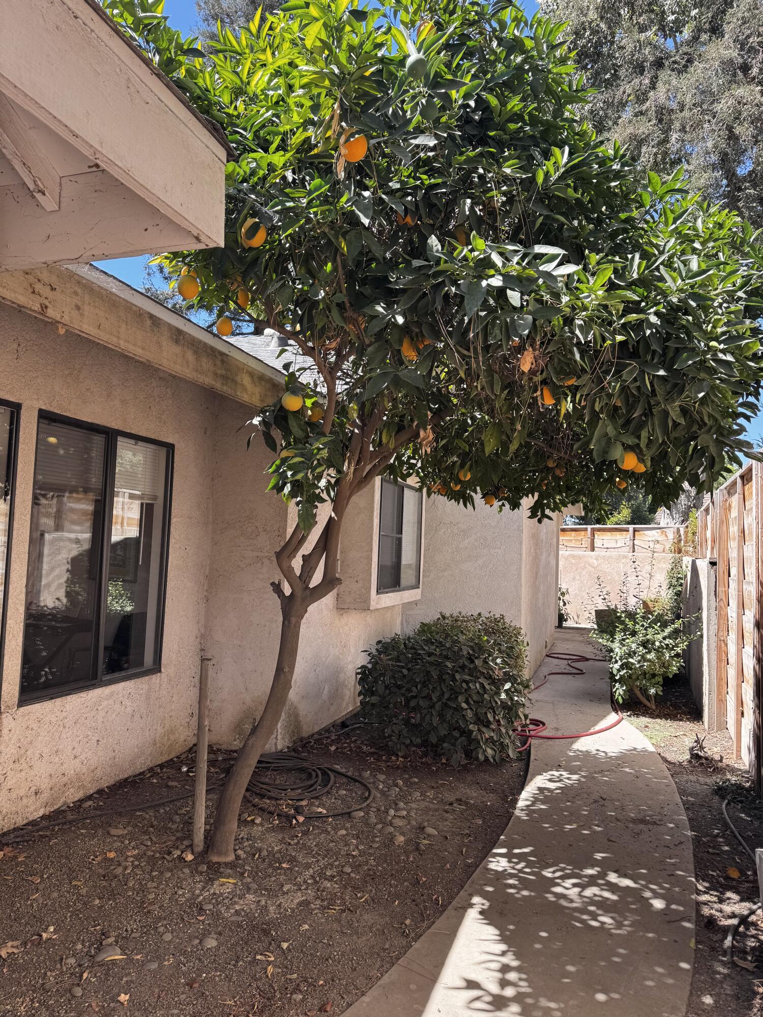 1536 E Castleview Ave, Visalia, CA 93292