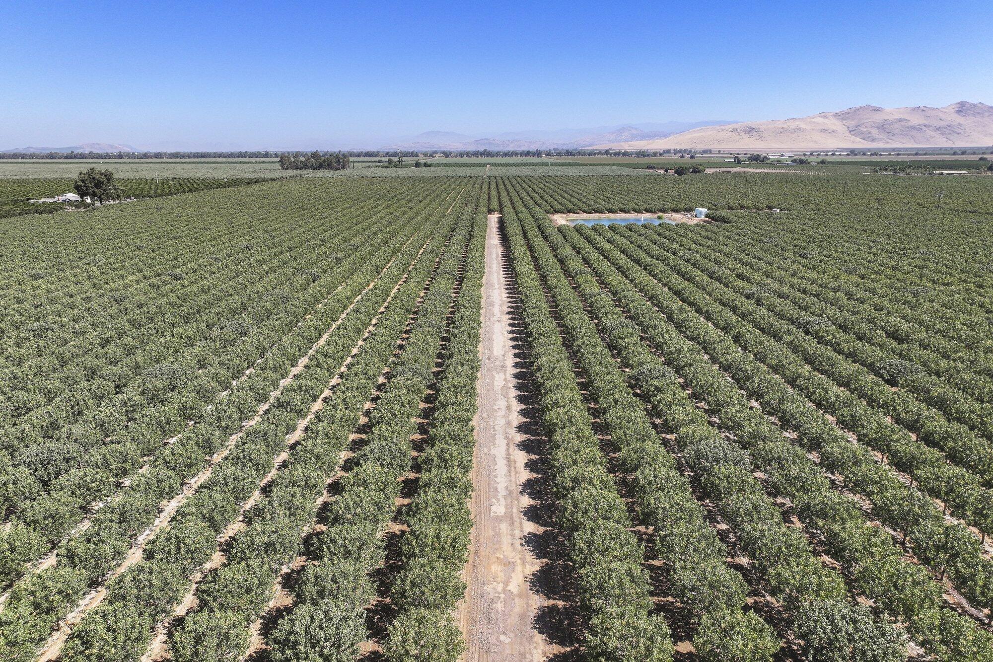 14464 Ave 360, Visalia, CA 93292