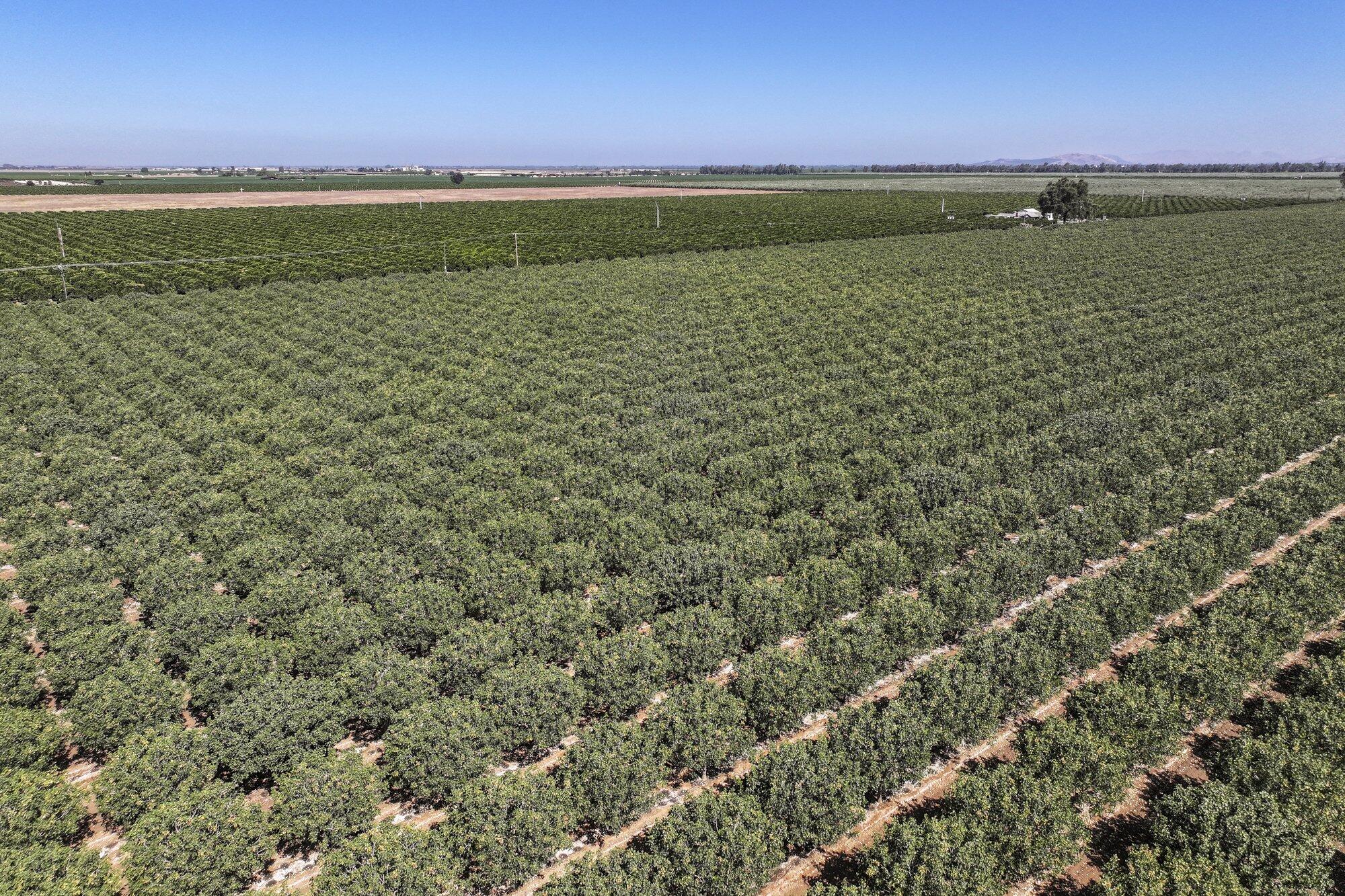 14464 Ave 360, Visalia, CA 93292