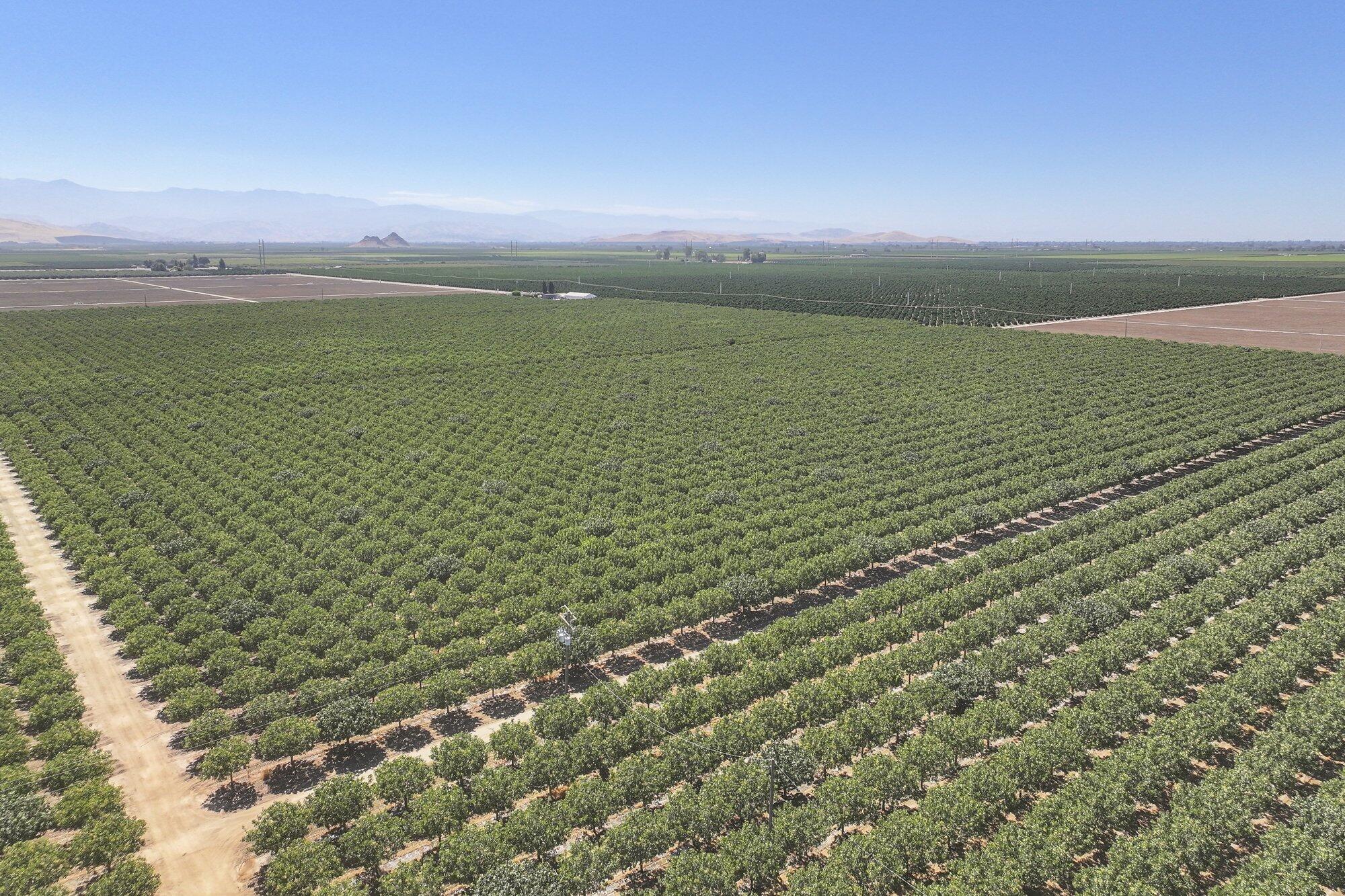 14464 Ave 360, Visalia, CA 93292