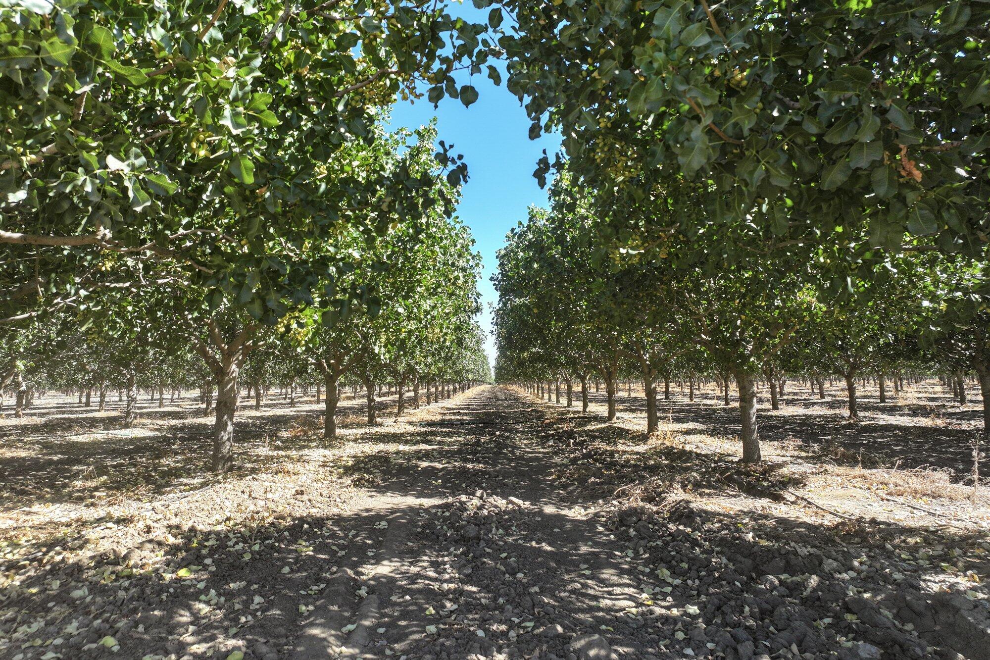 14464 Ave 360, Visalia, CA 93292