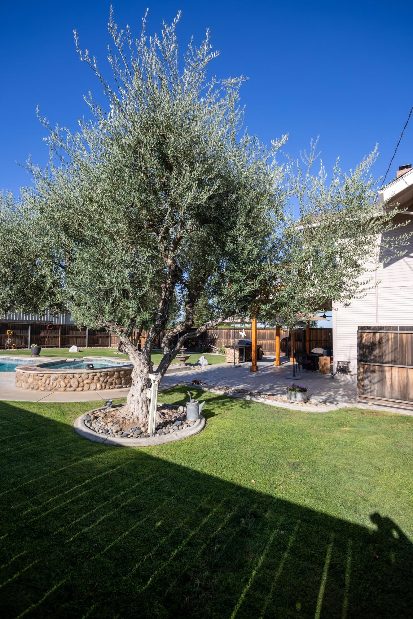 1259 E Teapot Dome Ave, Porterville, CA 93257