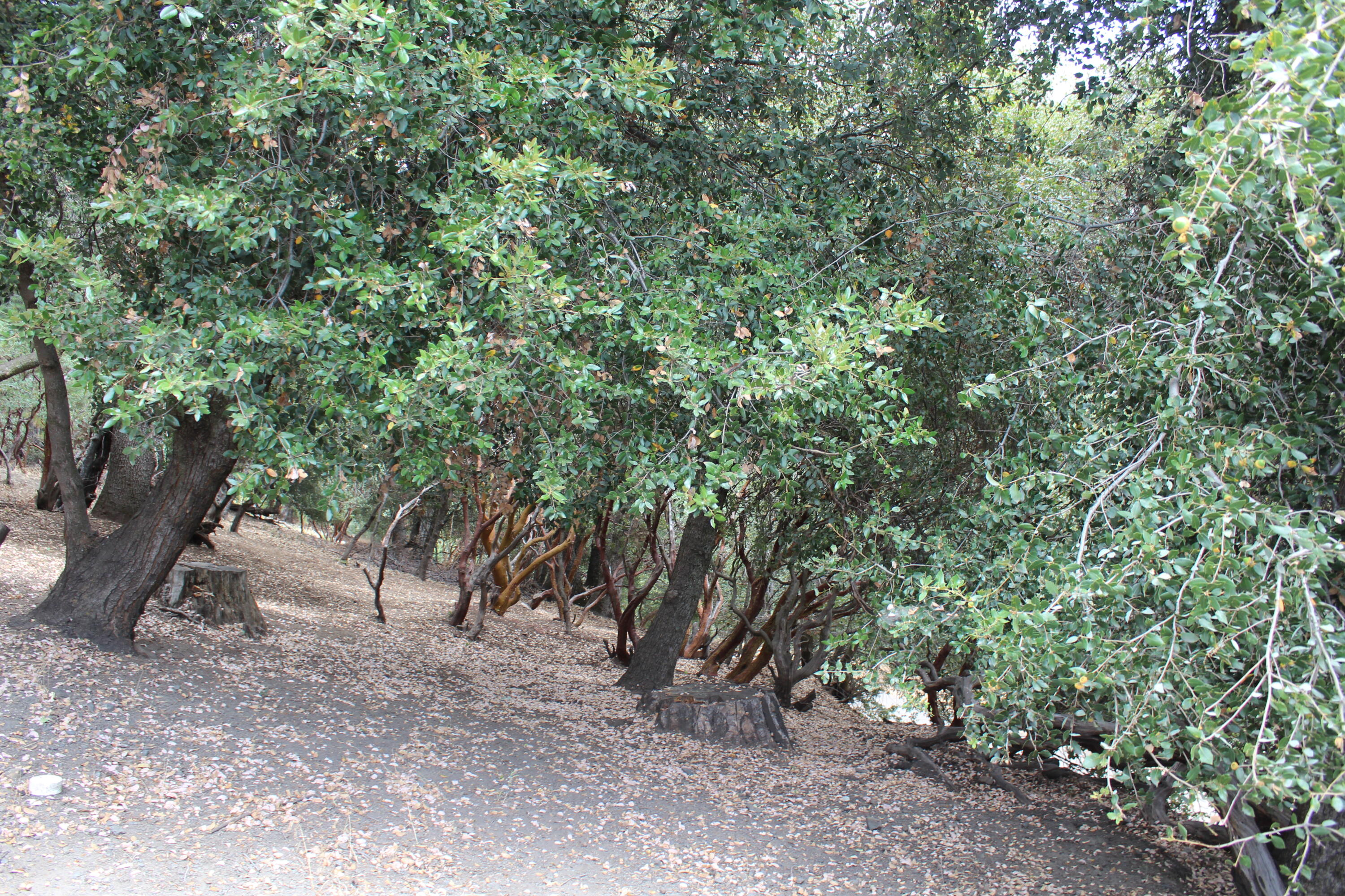 1537 James Dr, Springville, CA 93265