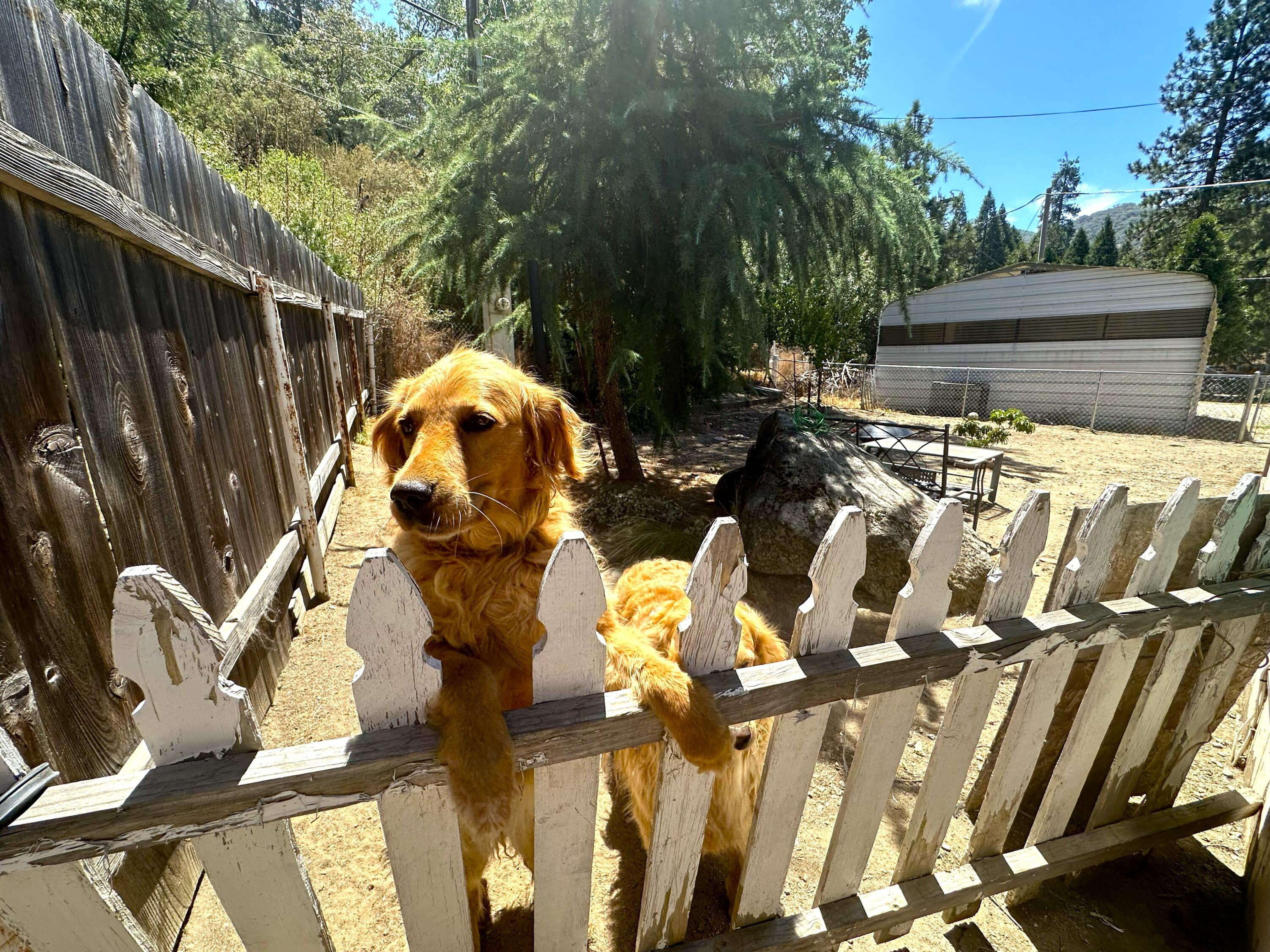 45130 Manter Meadow Dr, California Hot Springs, CA 93207